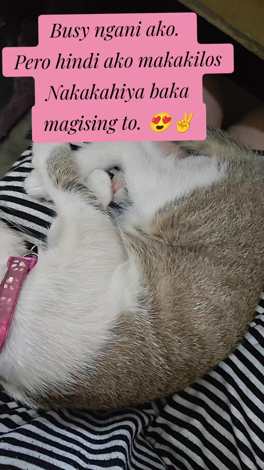@Narissa Bautista