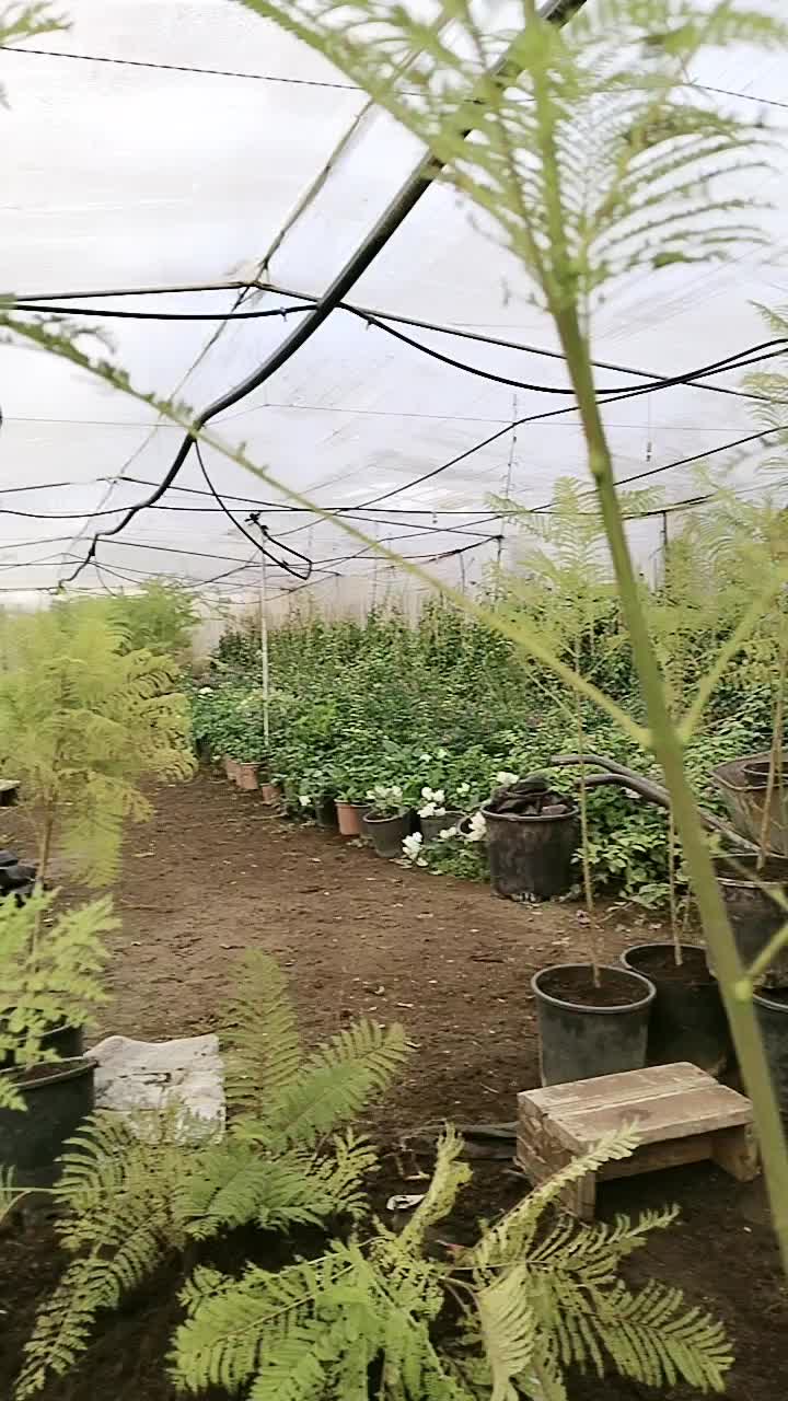 @01.. Adanalı 🥰