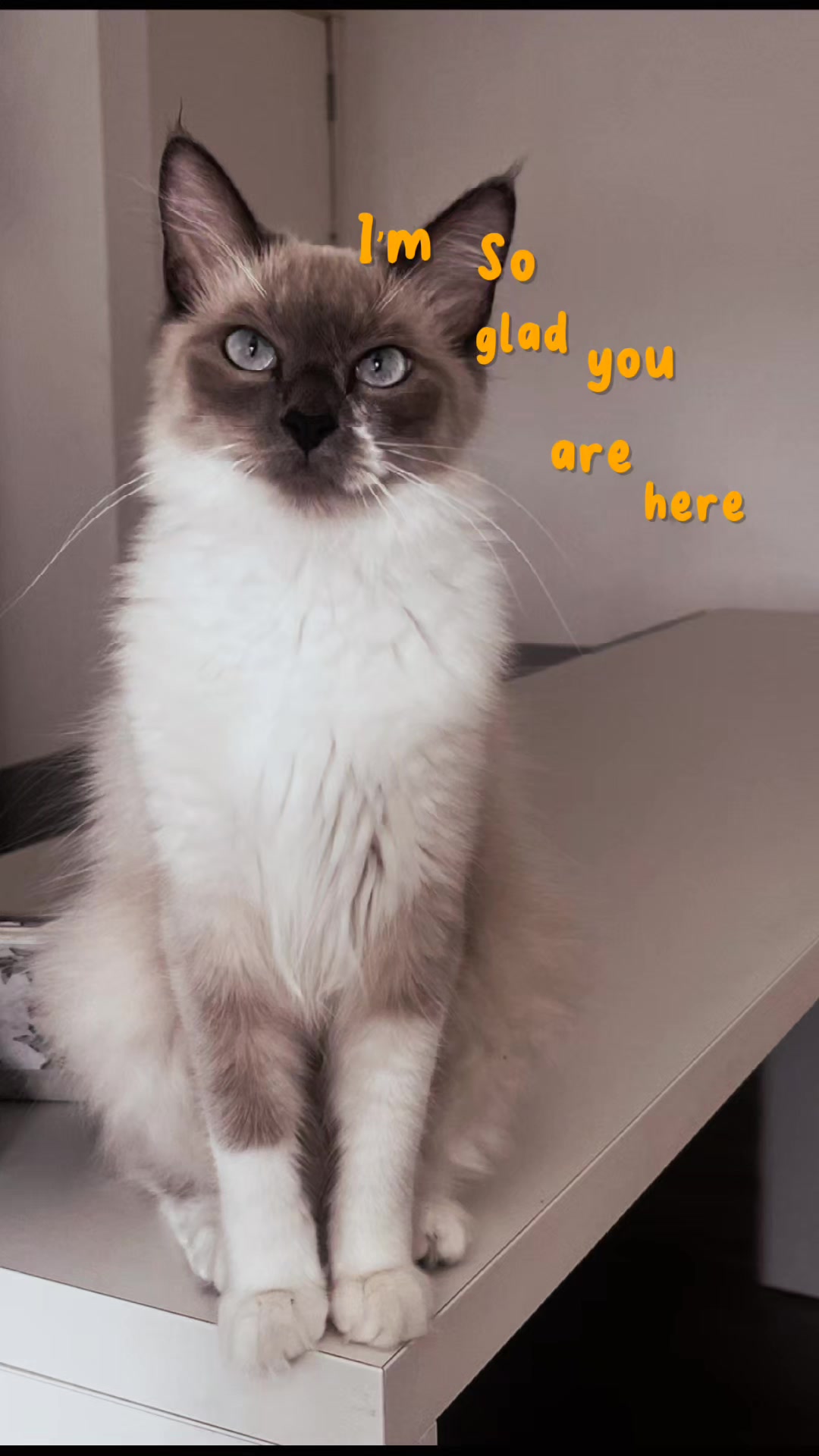 @Carla