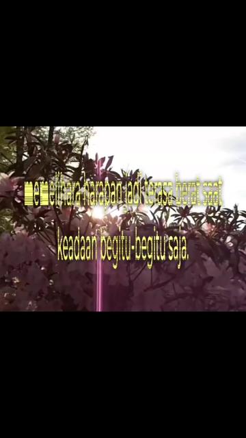 @тру́п номер4k