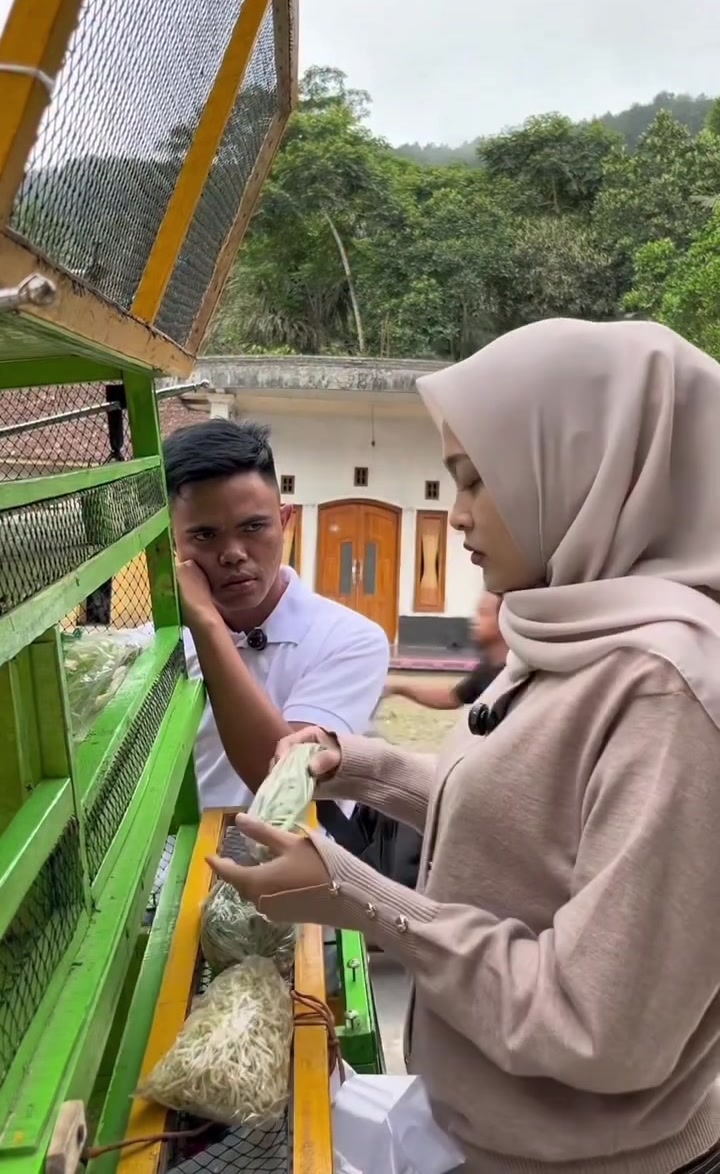 @muhlis sayuran I