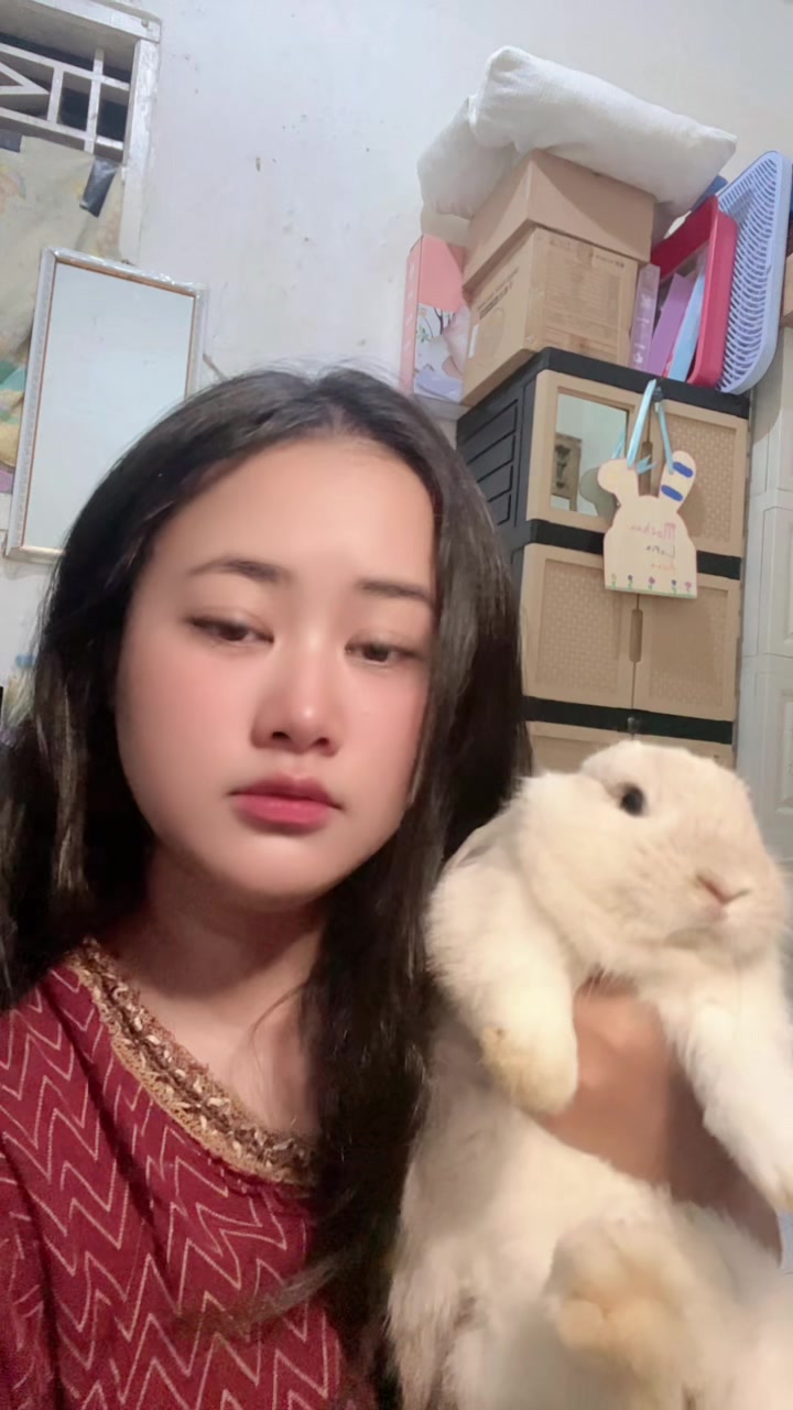 @🐰 Morhpin 🐰