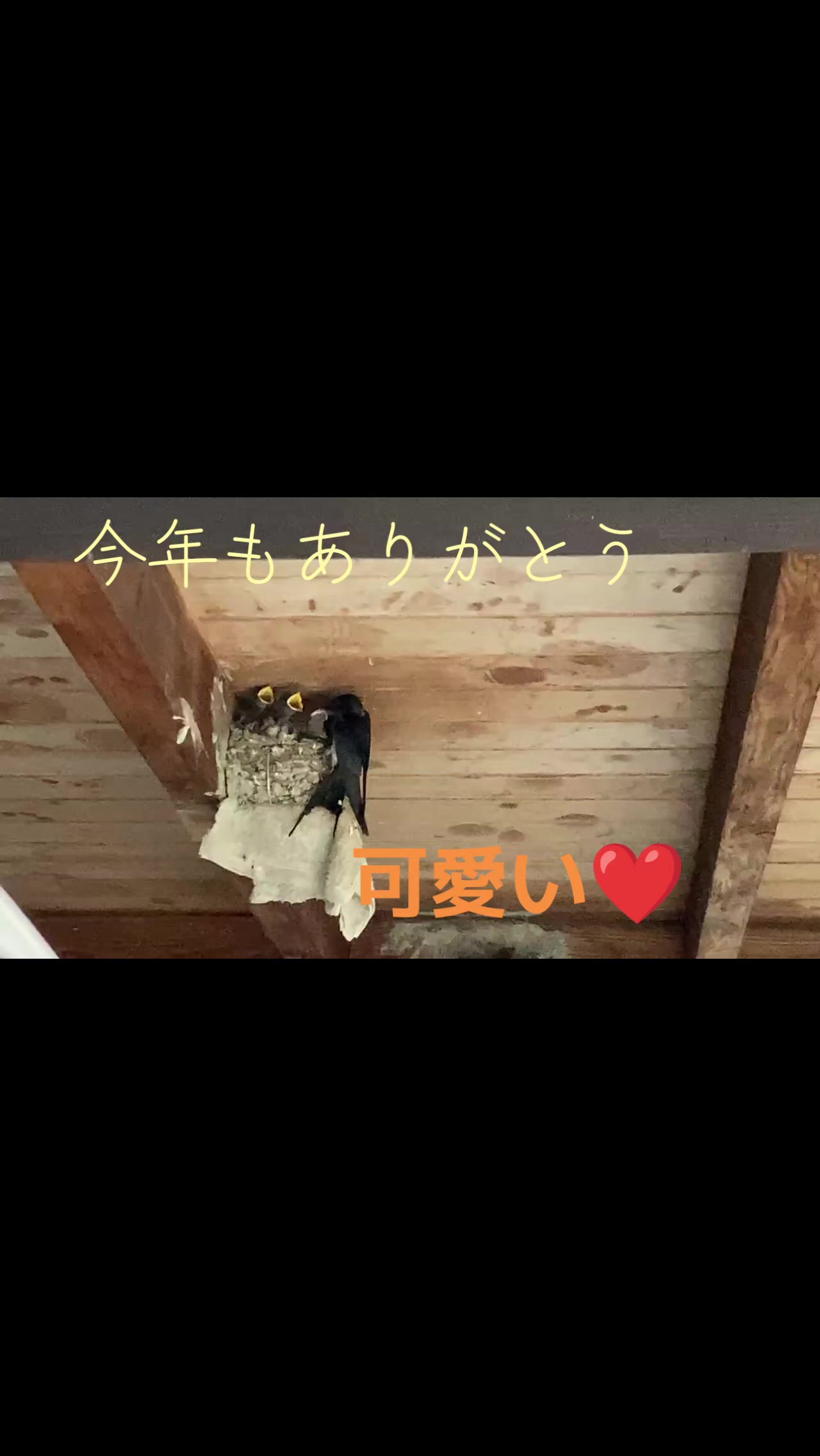 @TERU