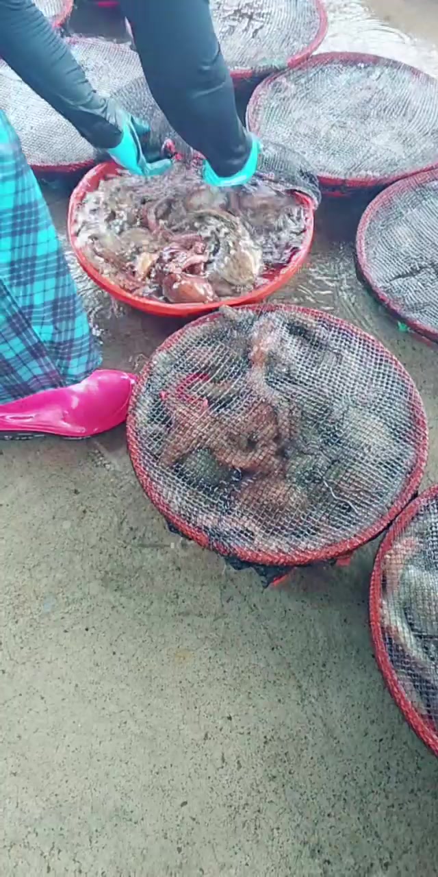 @커피향