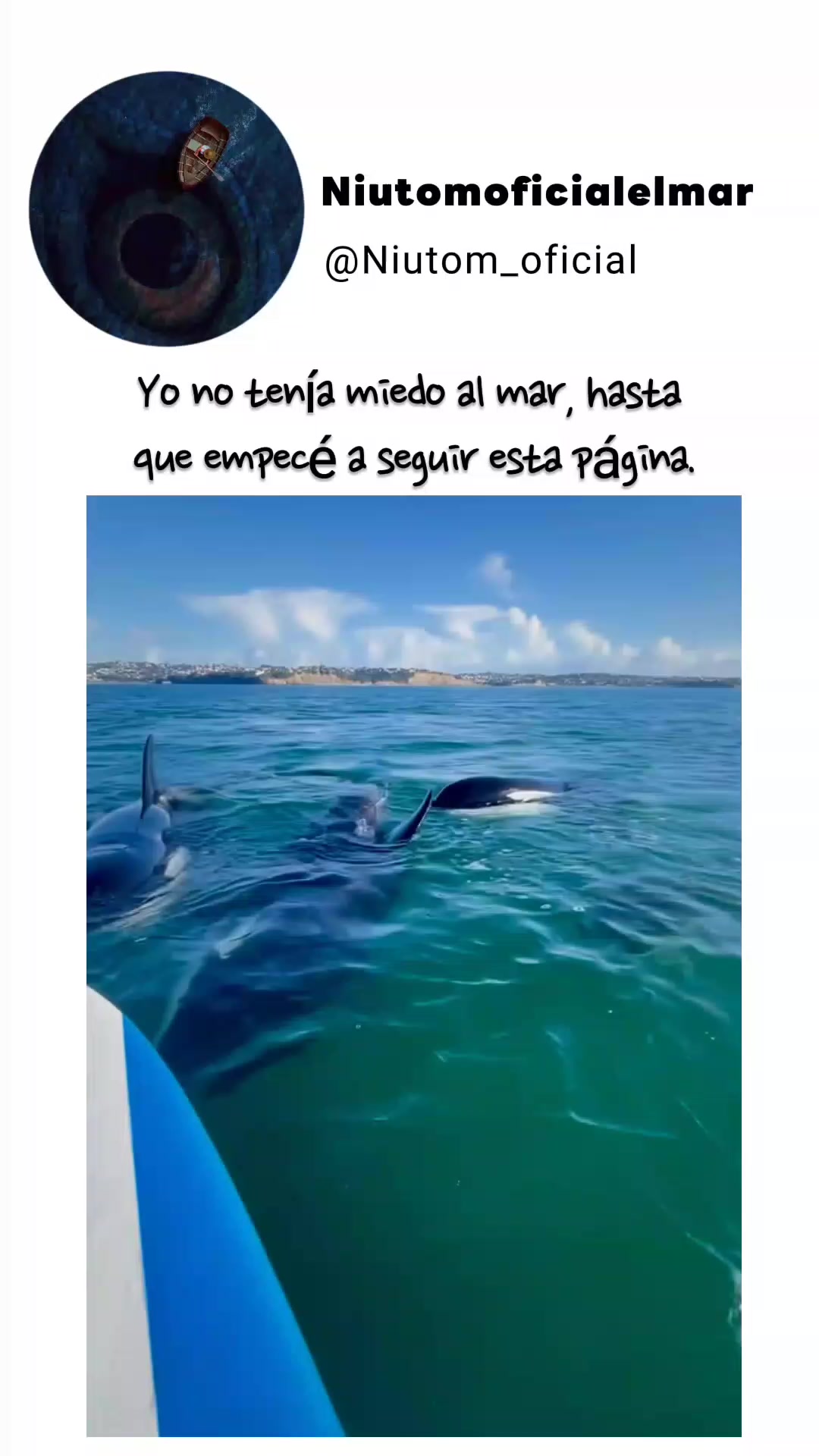 @🌊️niutom oficial el mar 🌊