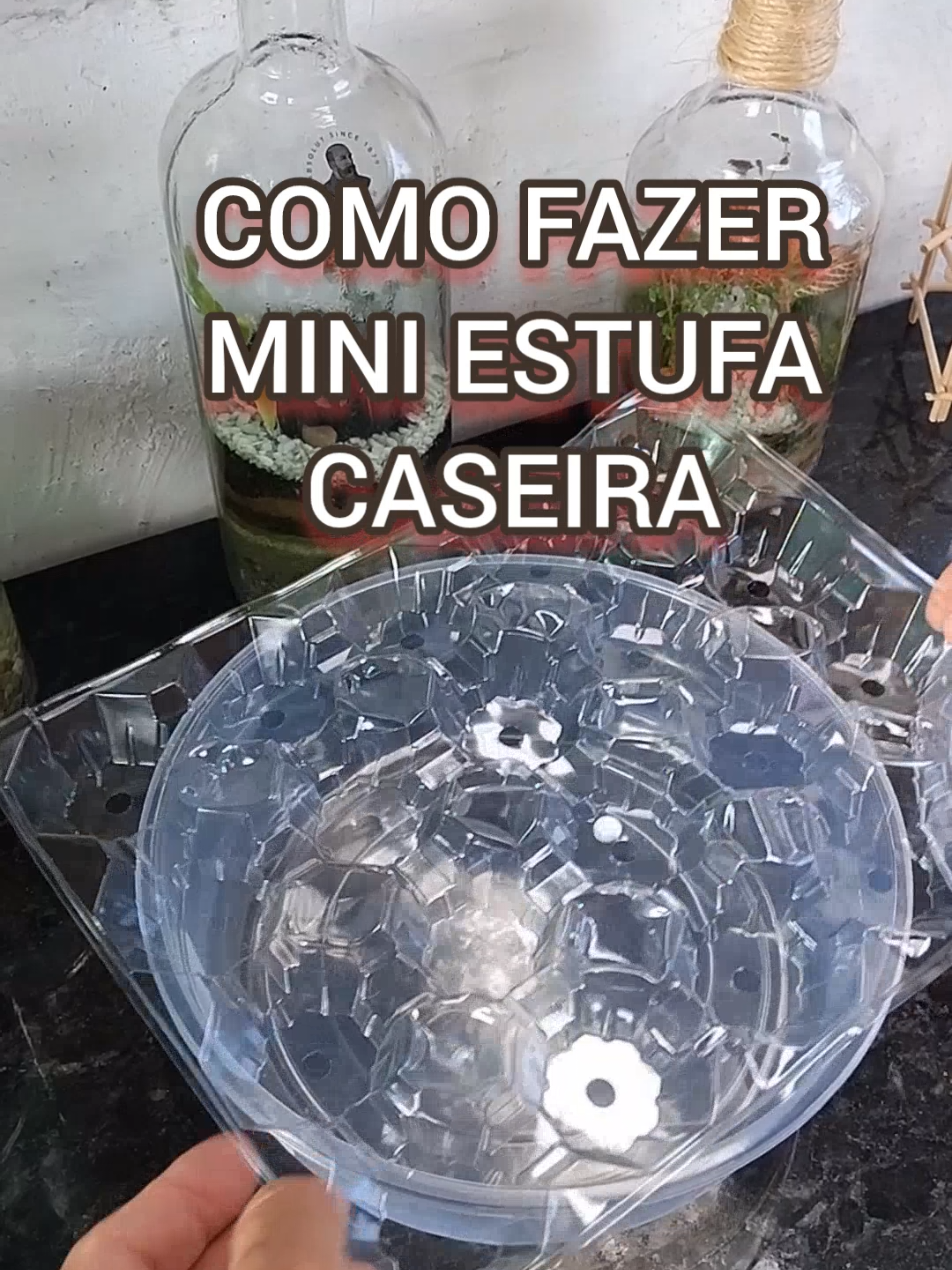 @EcoaBio - Educa&ccedil;&atilde;o Ambiental