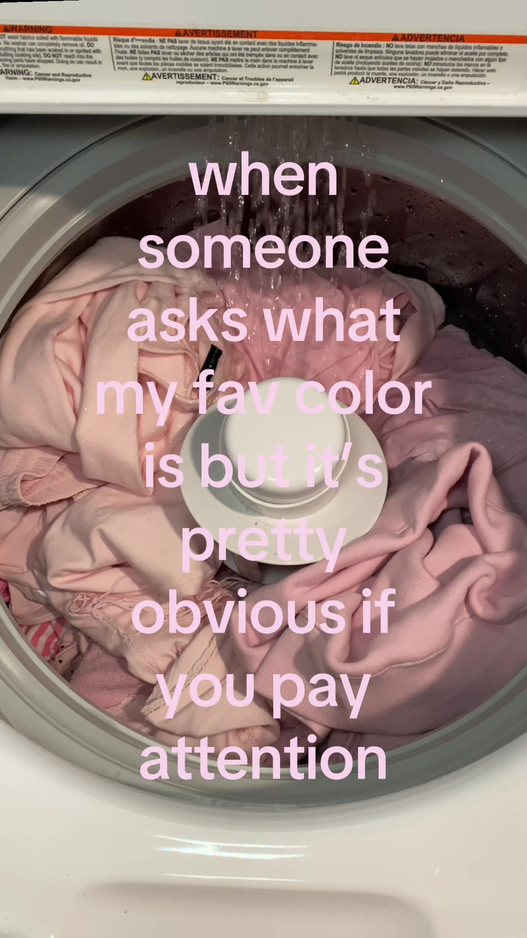 @⋆౨ৎ˚ nina ⟡˖ ࣪