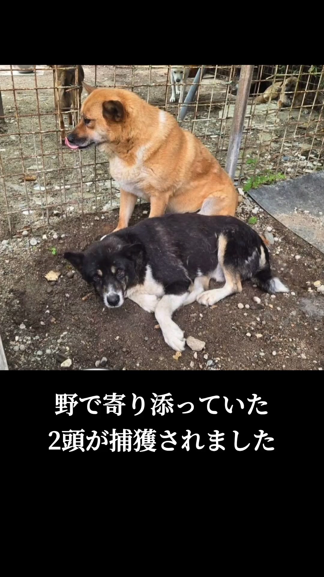 @まあくんハウス