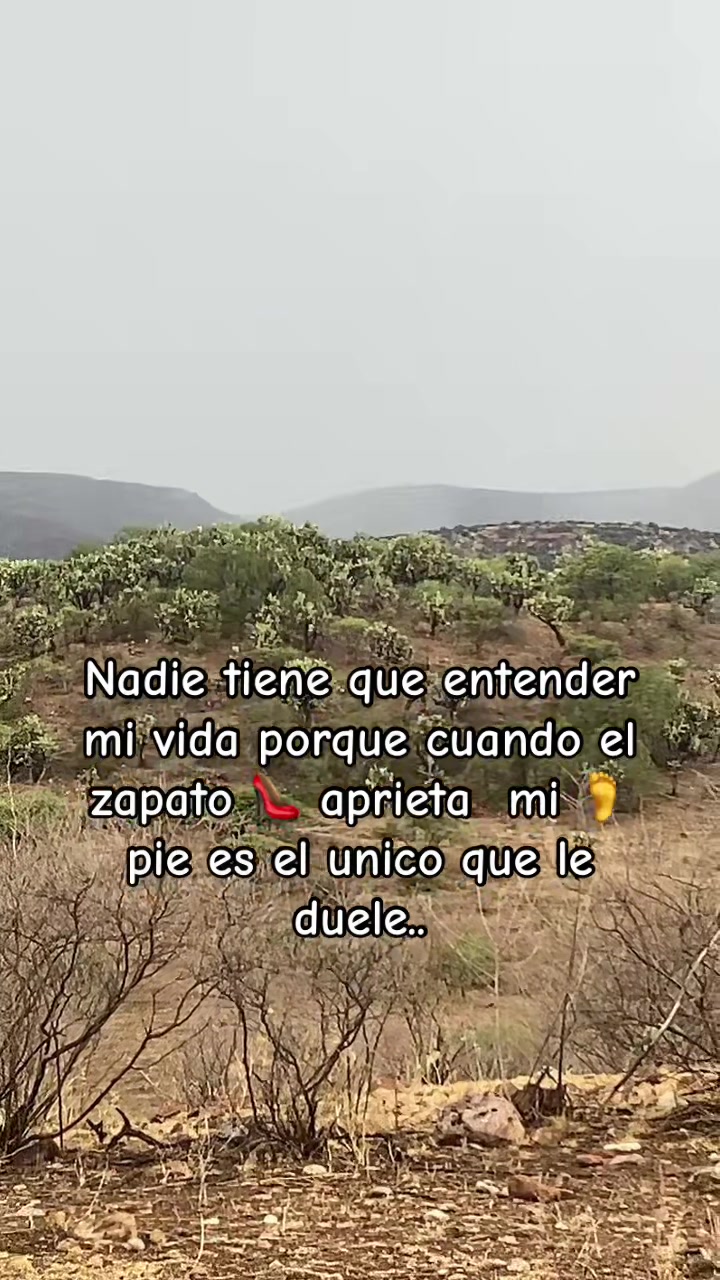 @Mary Avila