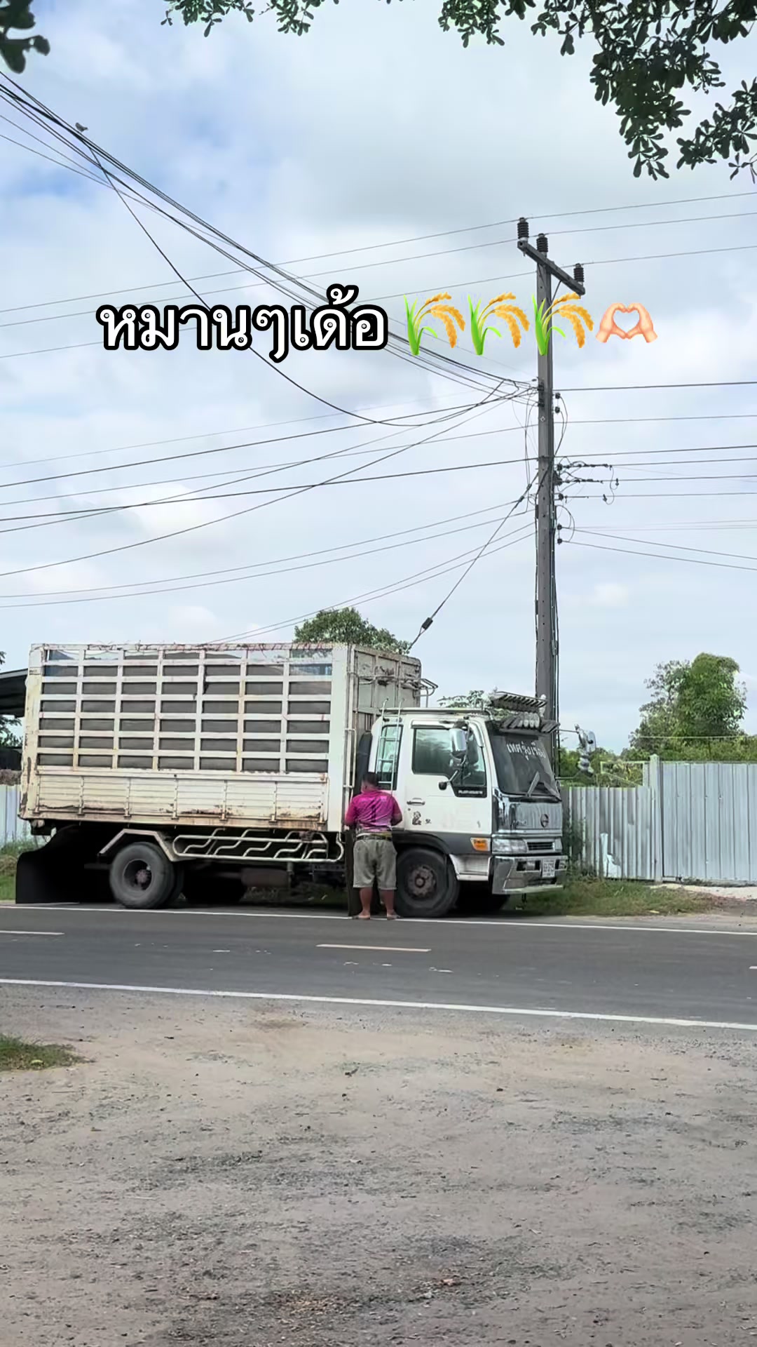 @เทศรุ่งเรืองวัสดุก่อ&การเกษตร