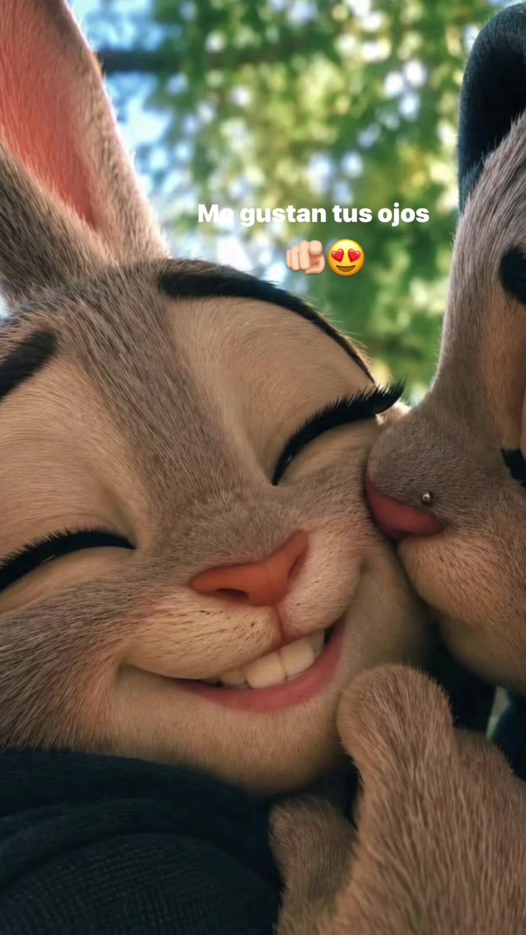 @DanielMejia