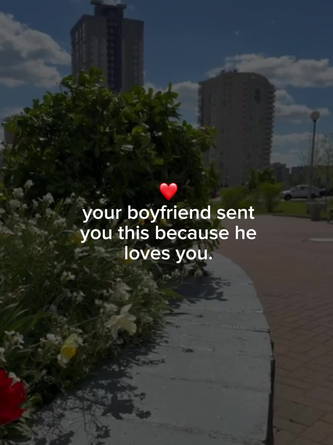 @12Sec Wisdom
