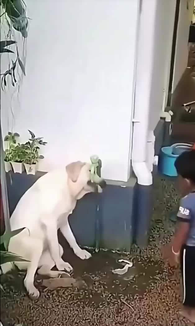 @Blackshadow_143