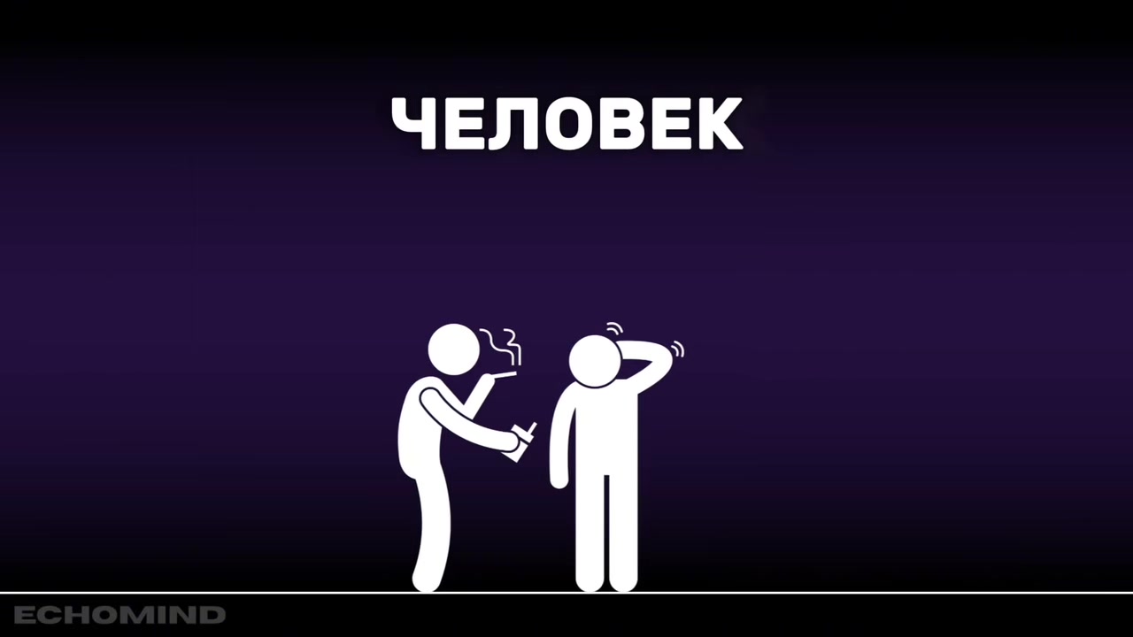 @echomind.ru