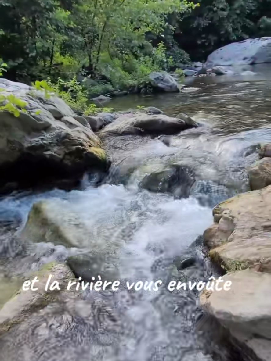 @💫🍃Evy2b🌸💫