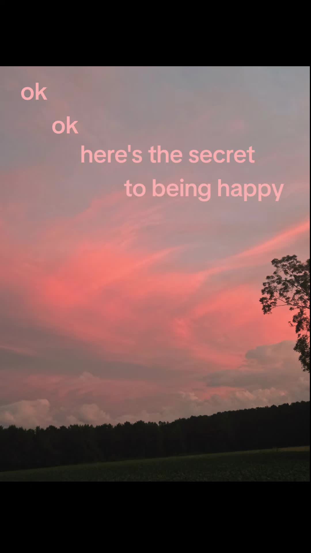 @BucksandBolts🌻🩷