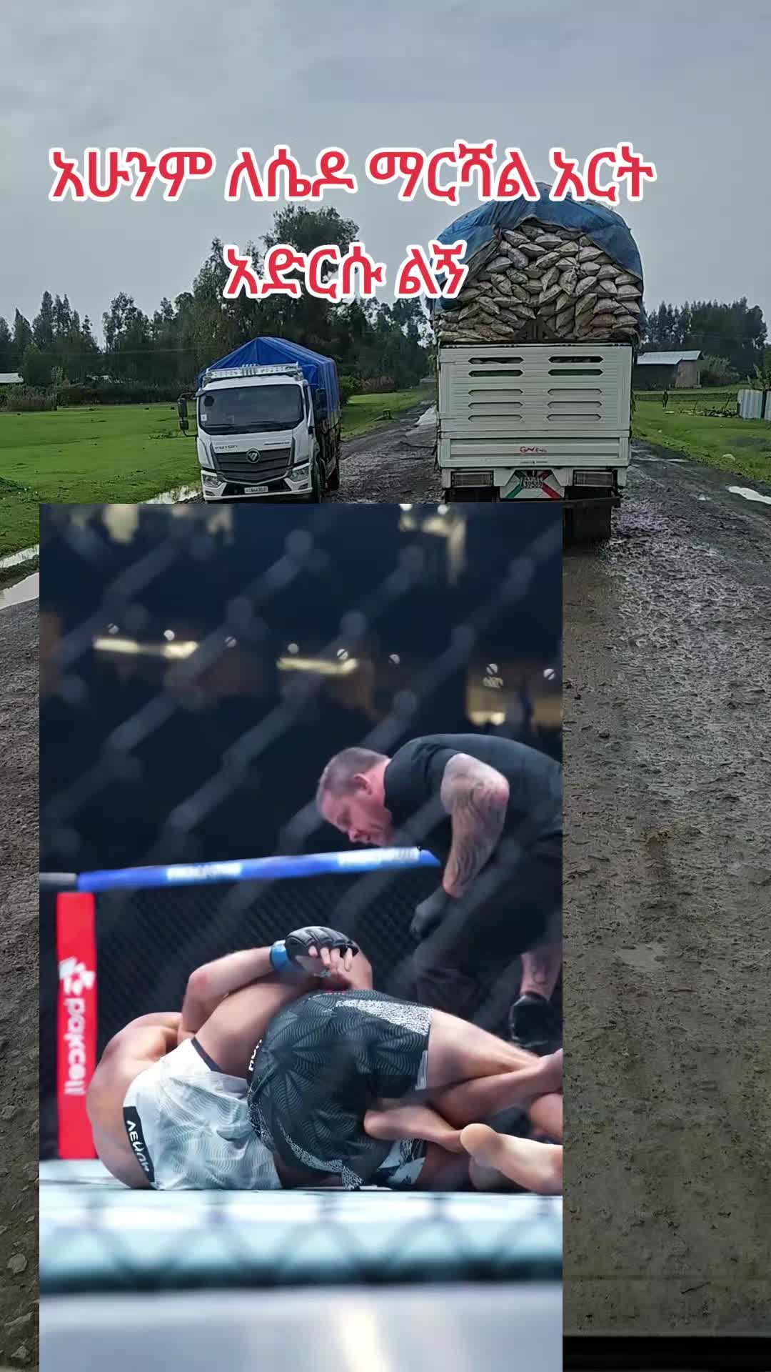 @tekluwedajo