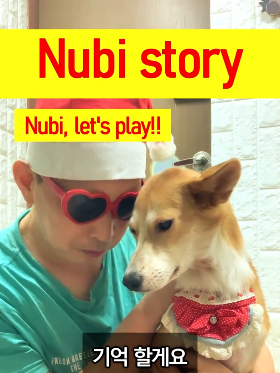 @누비★스토리 Nubi story