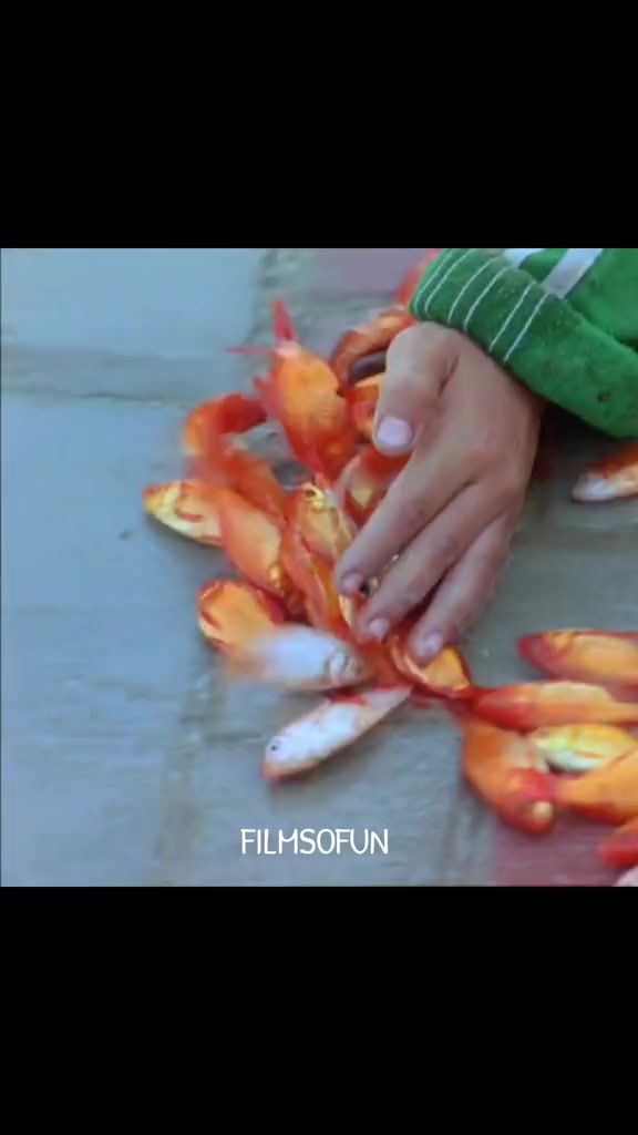 @FILMSOFUN