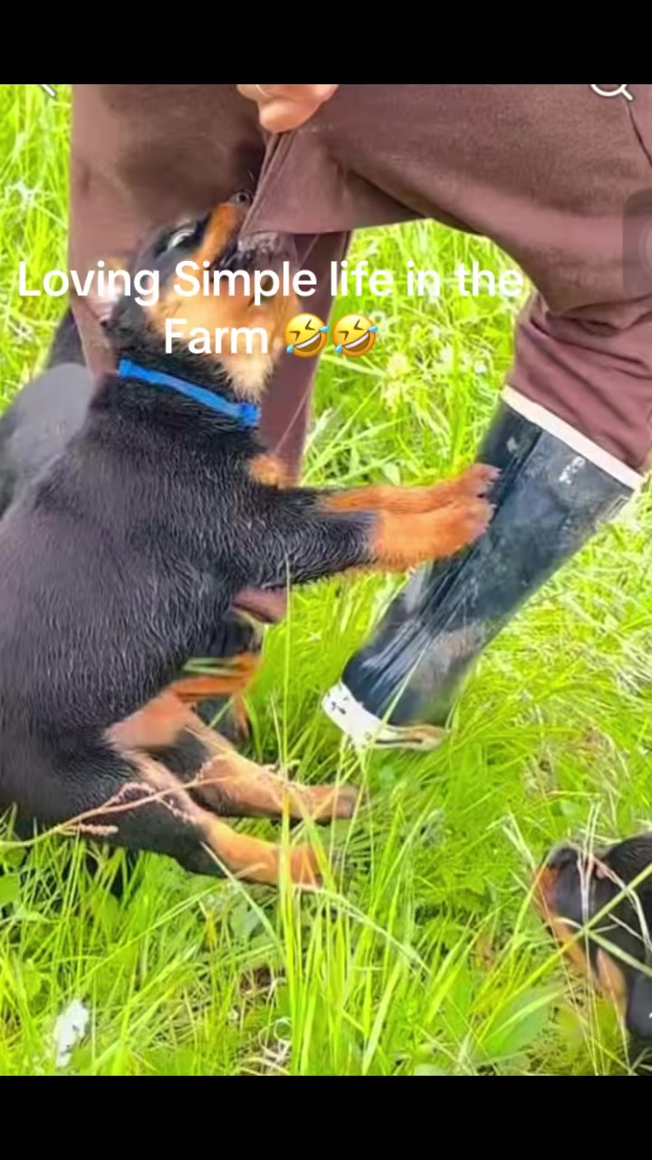 @Bomie