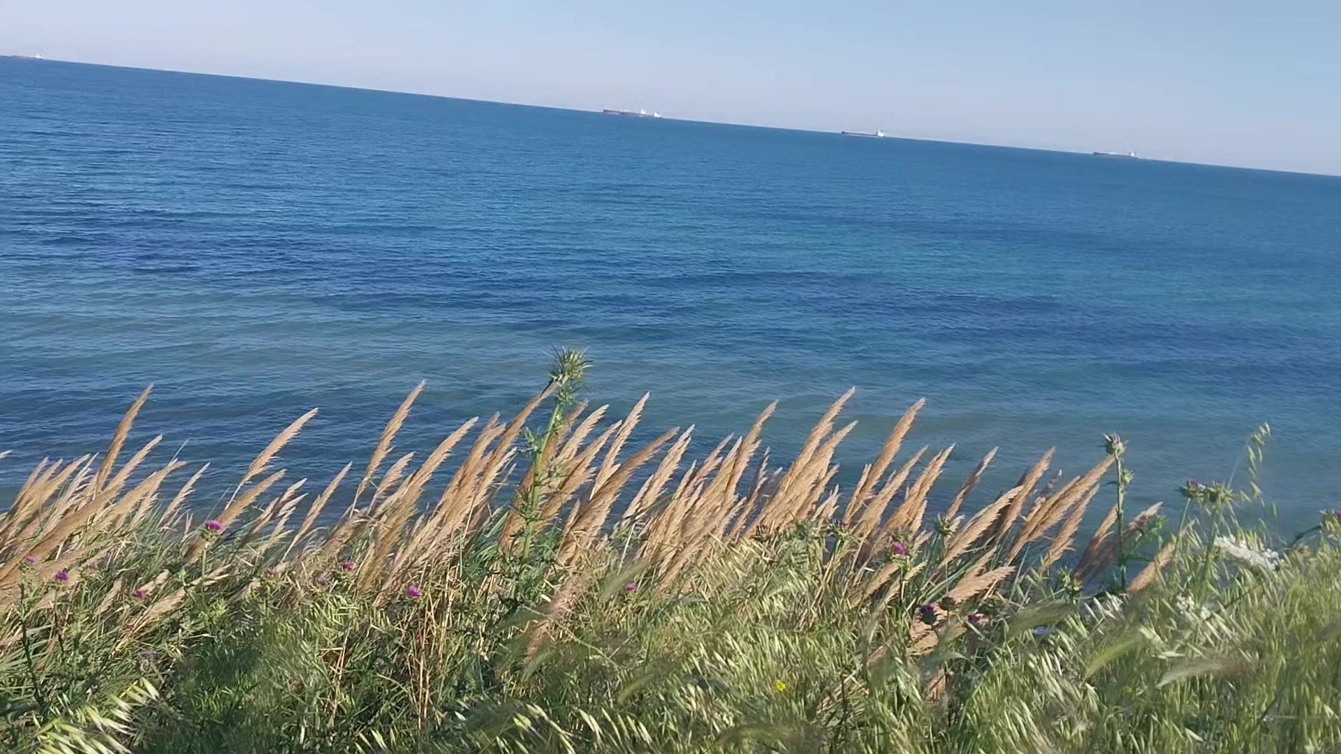 @GÜN🌝 'IşıGı