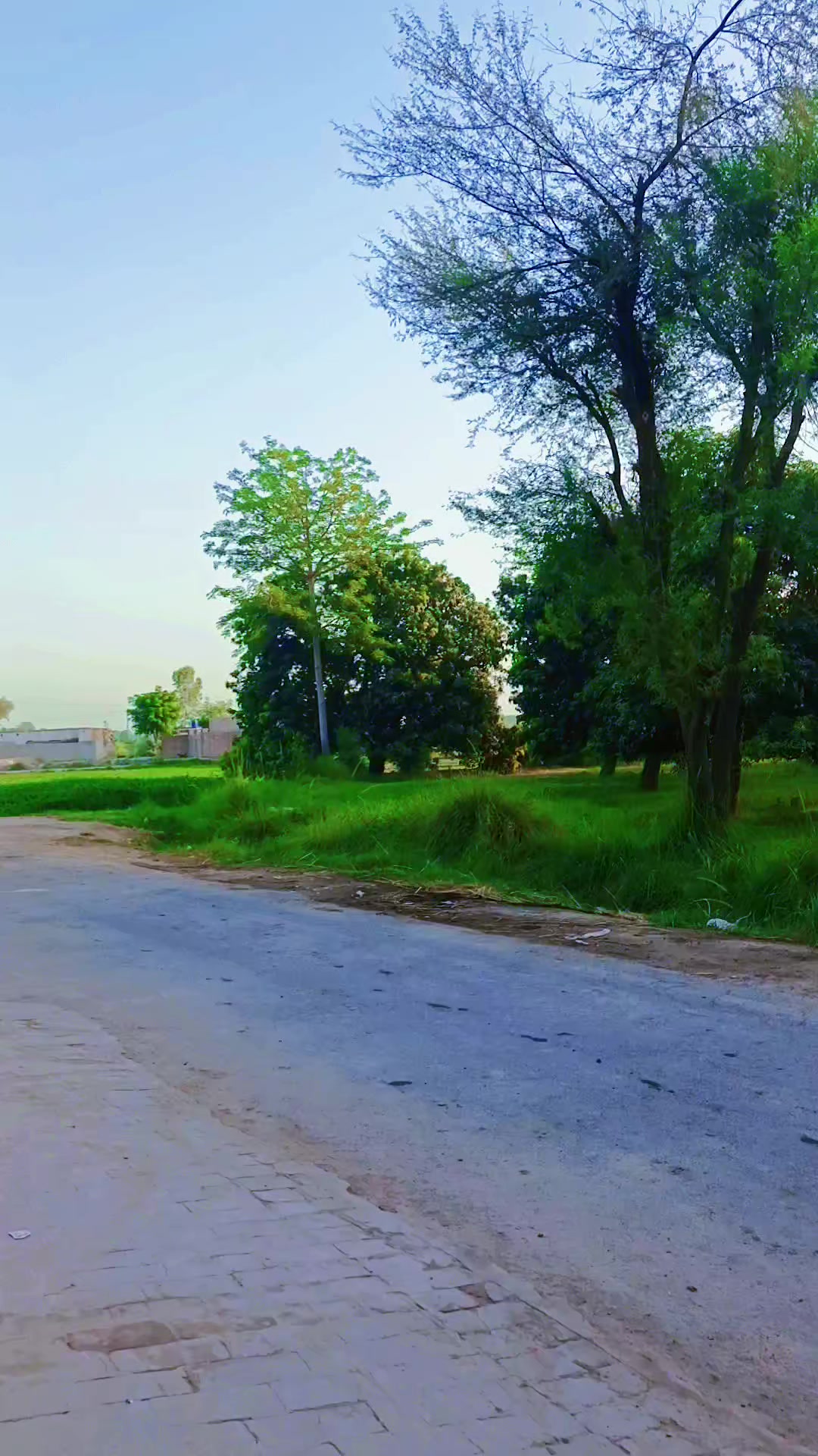 @M Akmal Lohar
