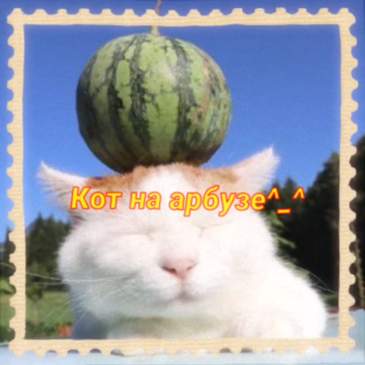 @UTC|Альфис настоящая (не фейк)
