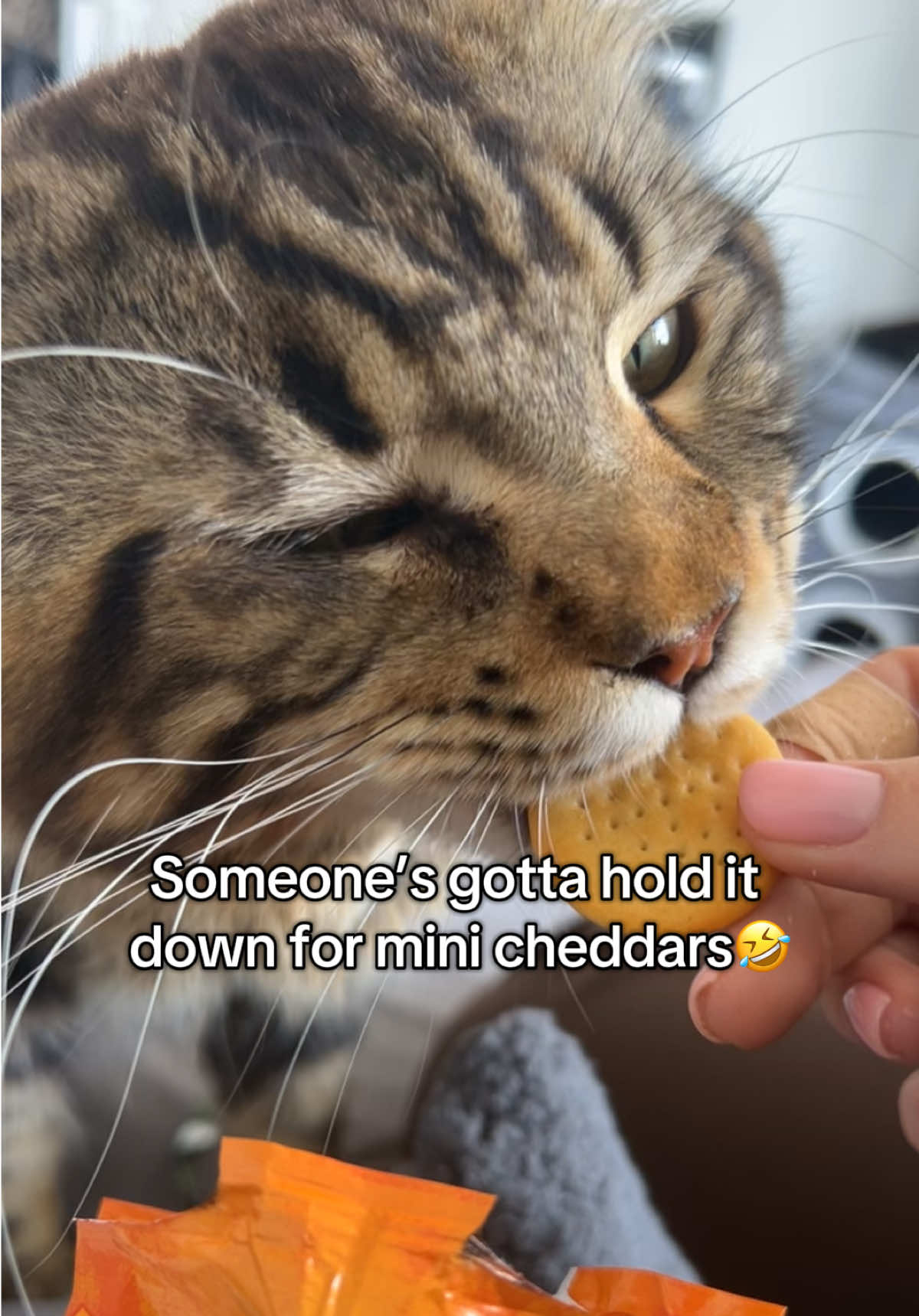 @Simba&Scar