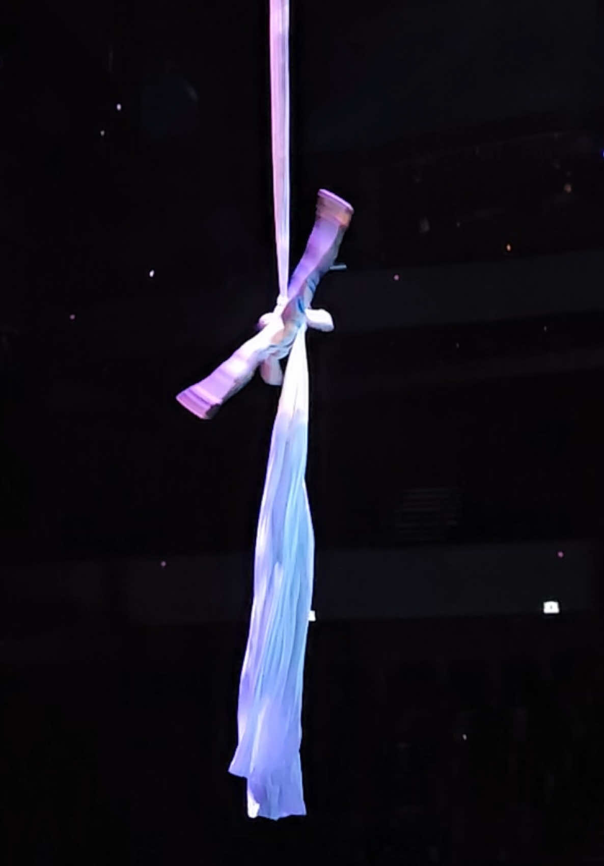 @alla.aerialist_laperle