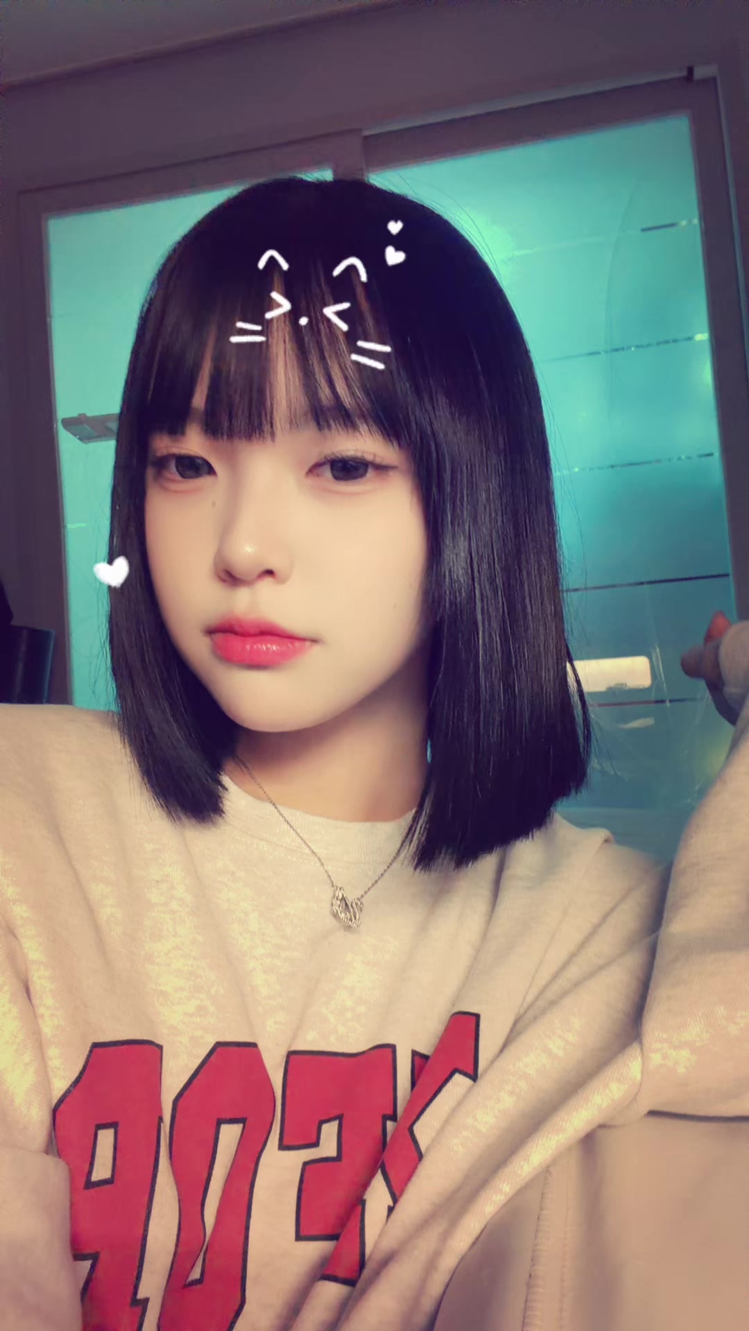 @고기싫어해요