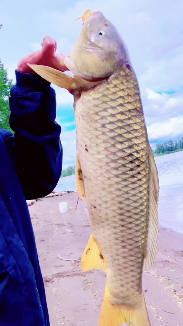 @rajgurung.69