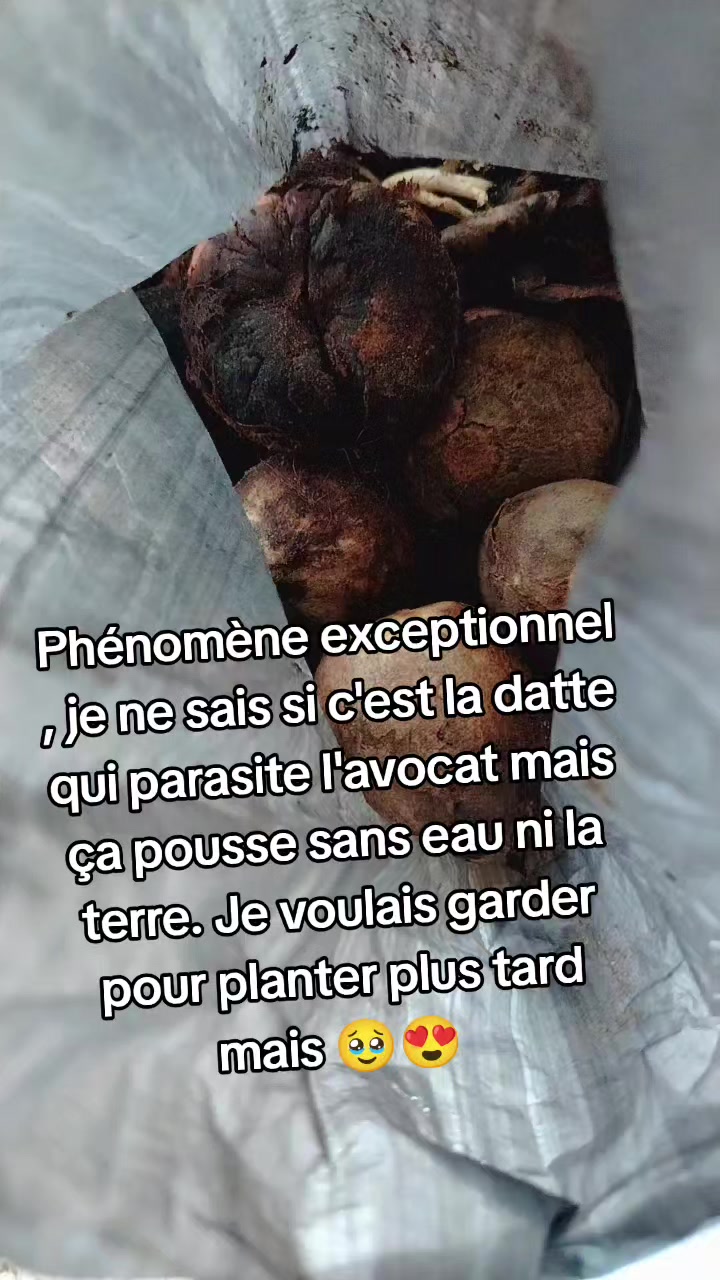 @Come to madagascar