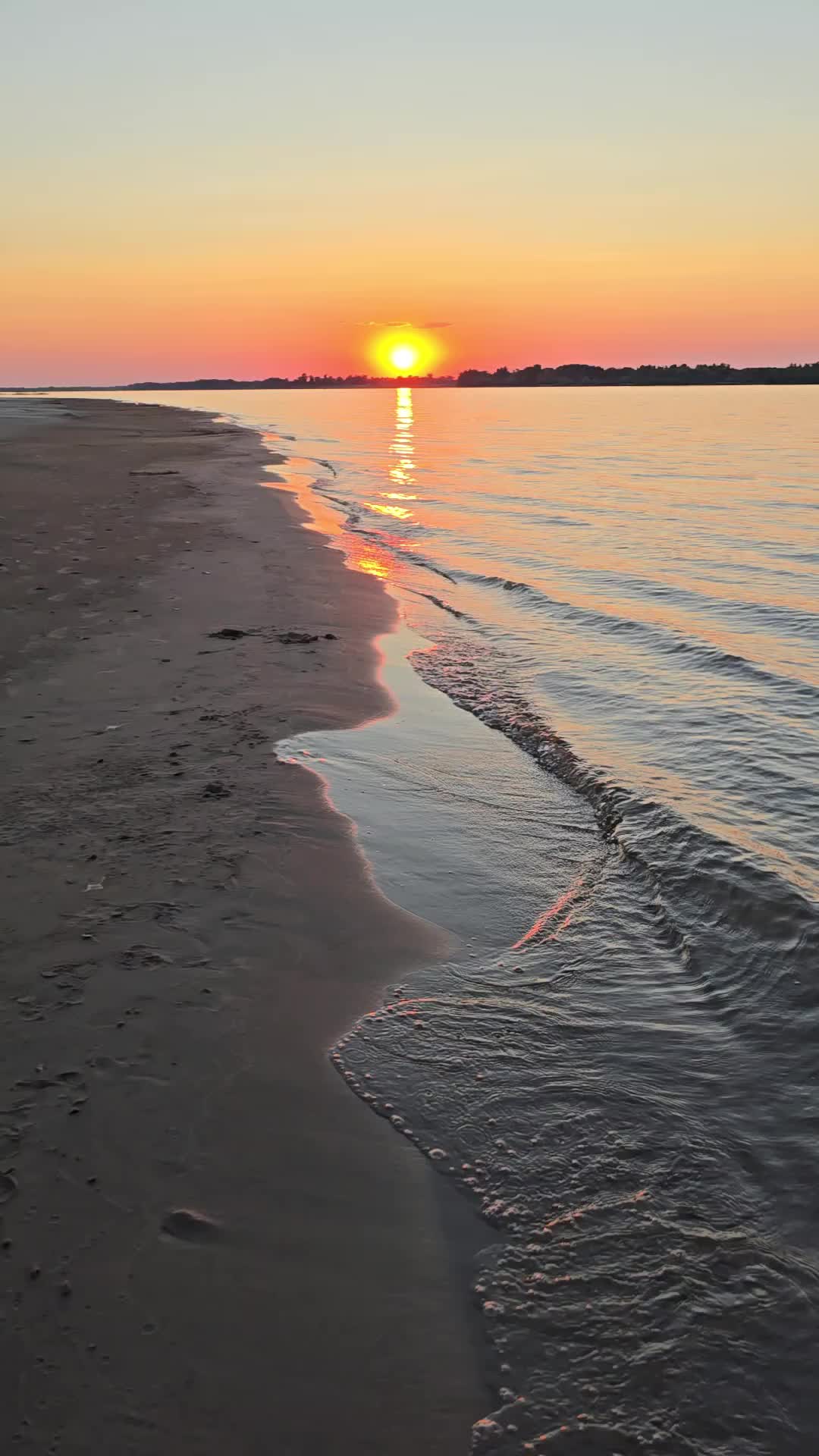 @Елена Старцева