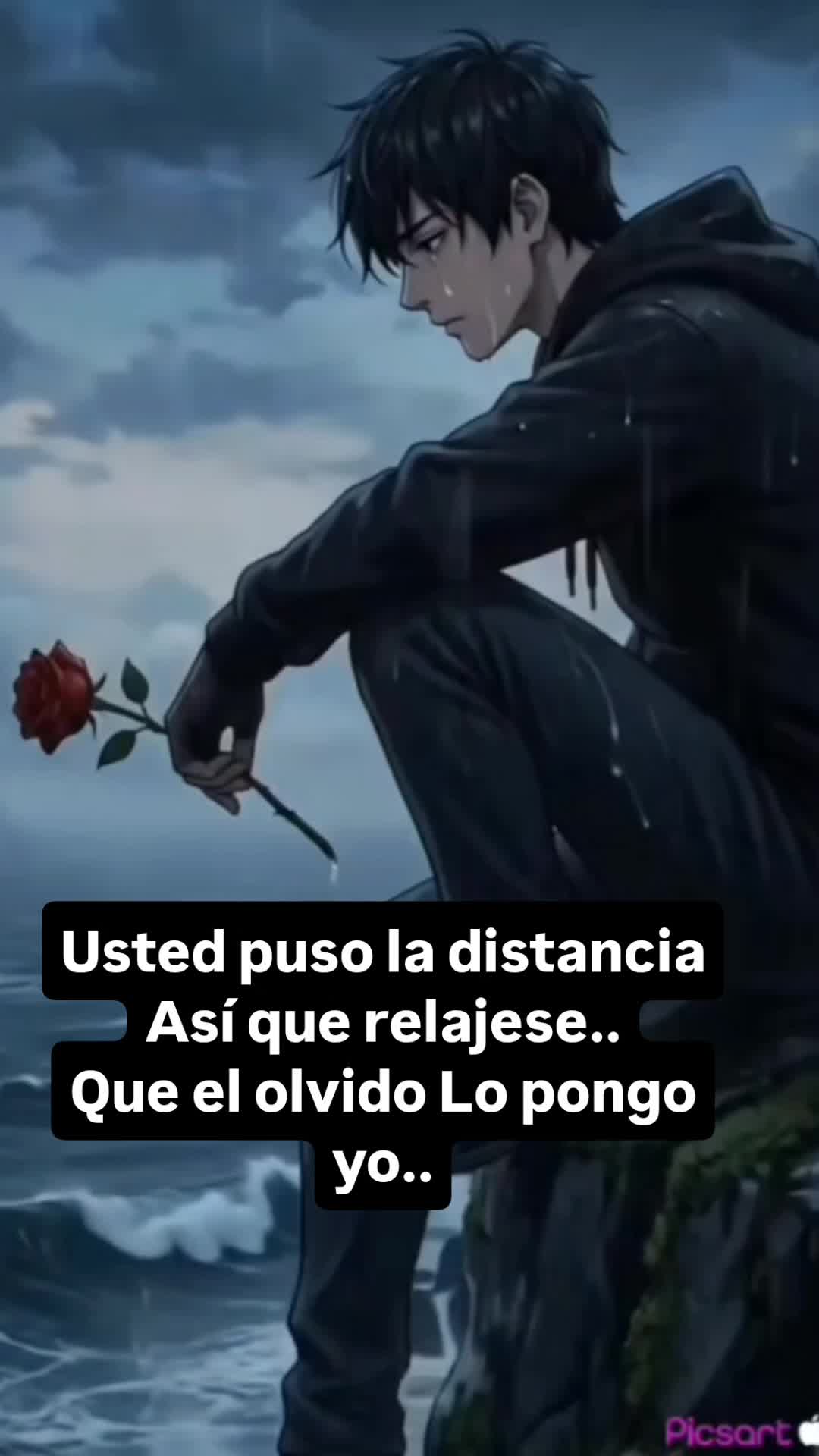 @el panda solitario