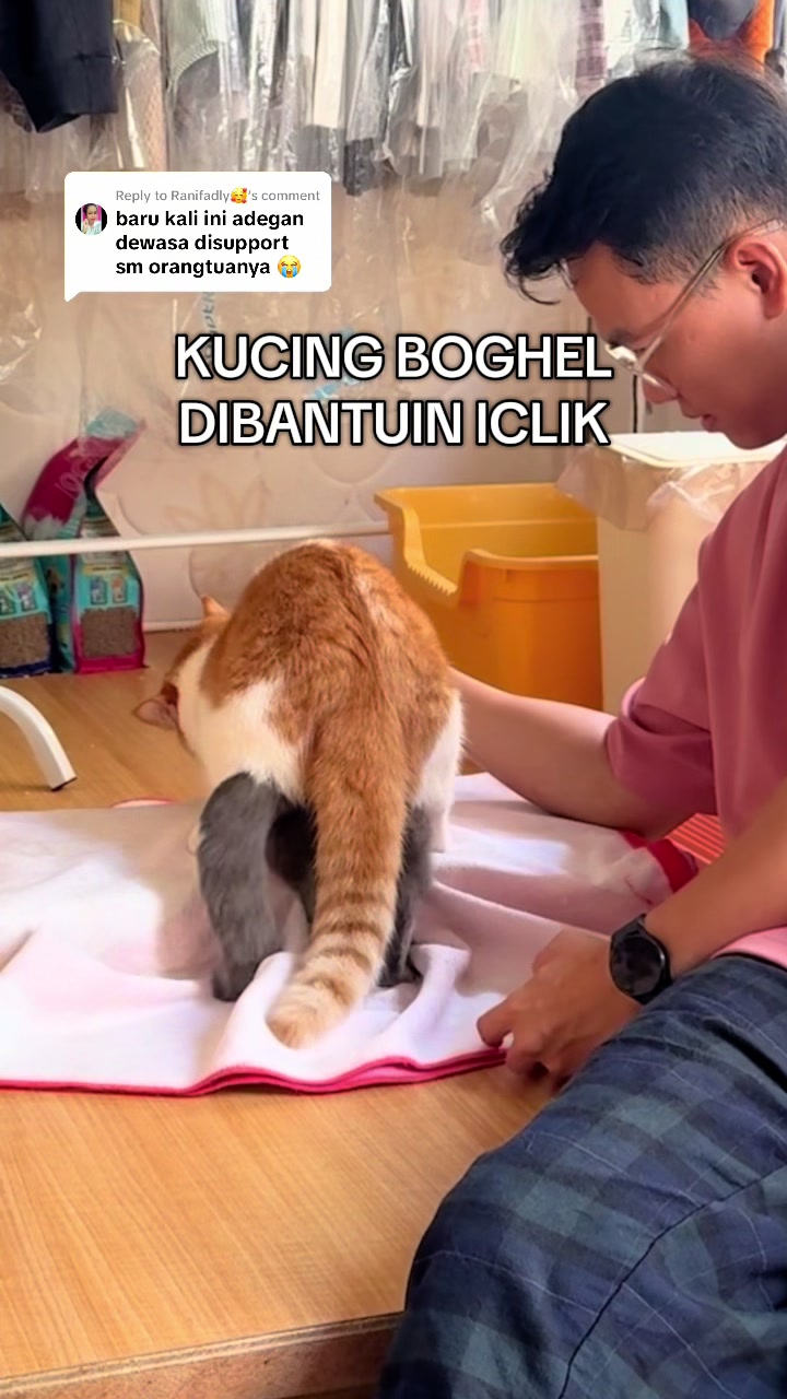 @MEOWOMPONG