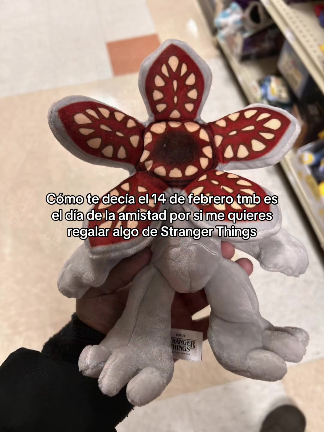 @✨ ‧𝒱𝒾𝒶𝓃𝒾‧ ✨