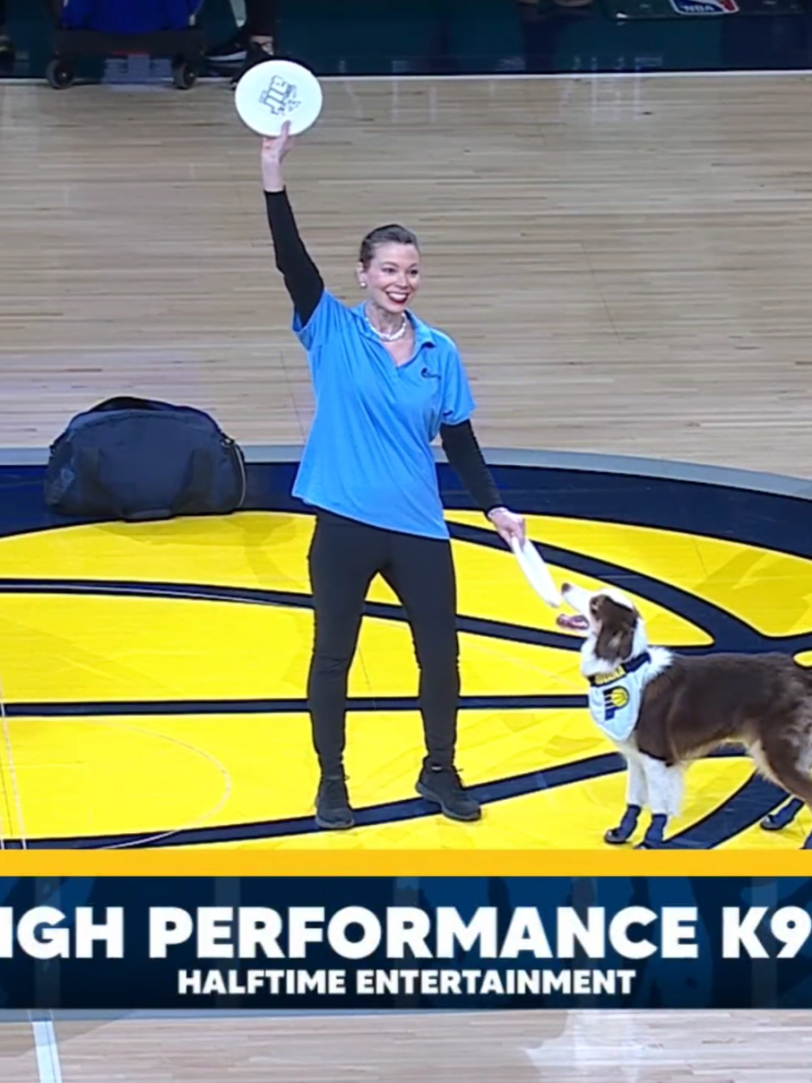 @High Performance Canines