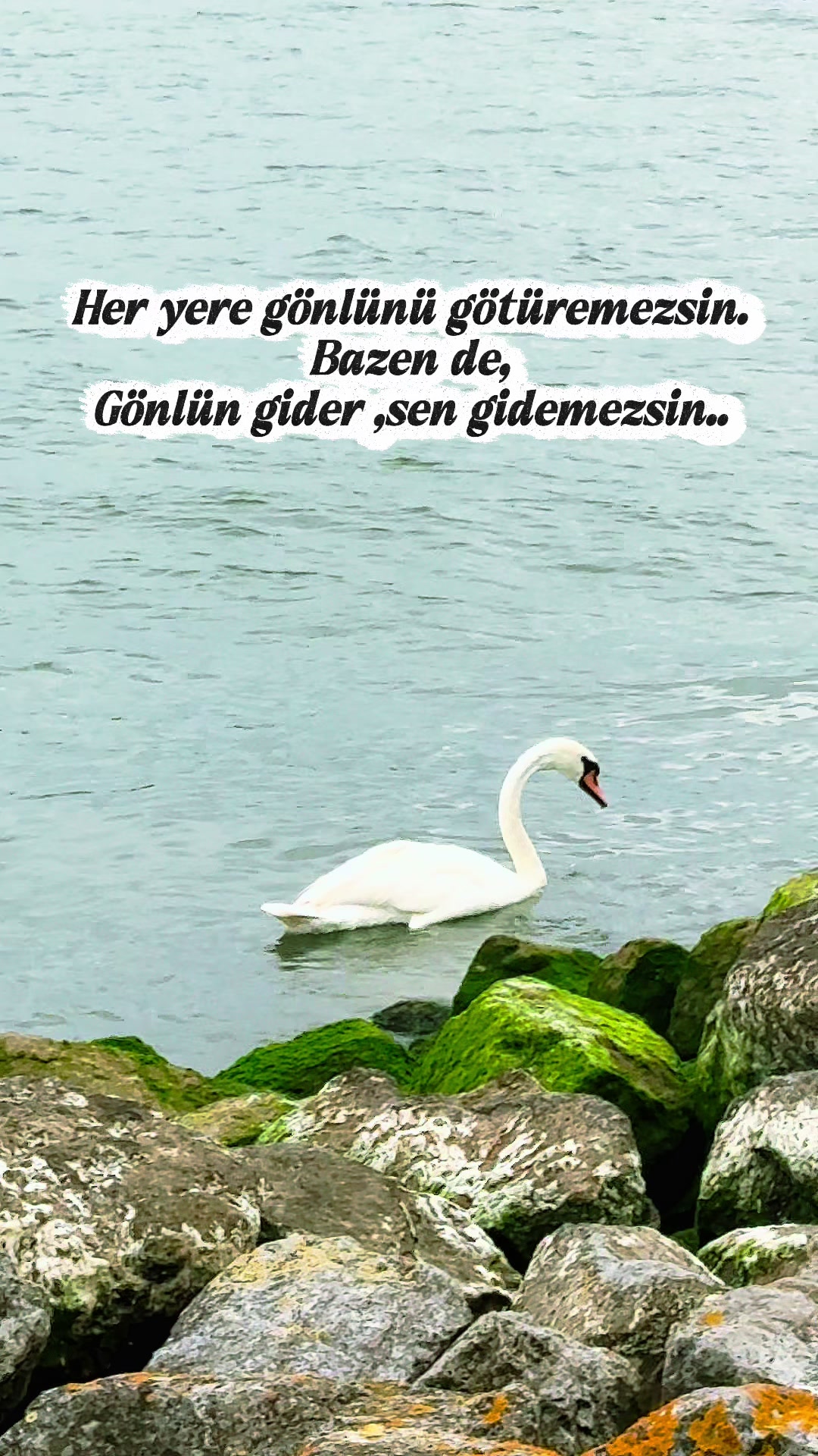 @Hasret🍁