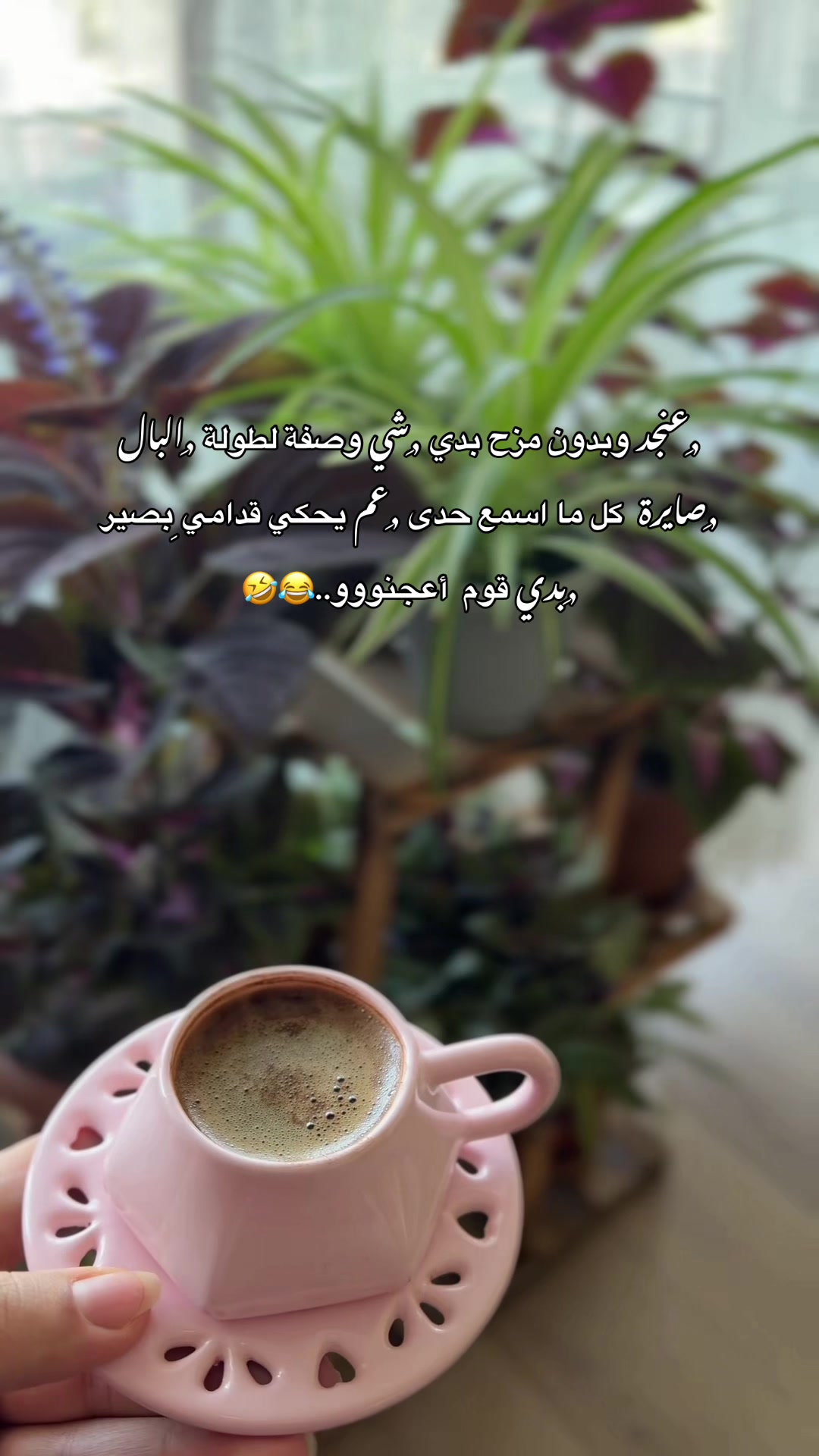 @🌱📸 𝐒𝐀𝐋𝐌𝐀_سلمى