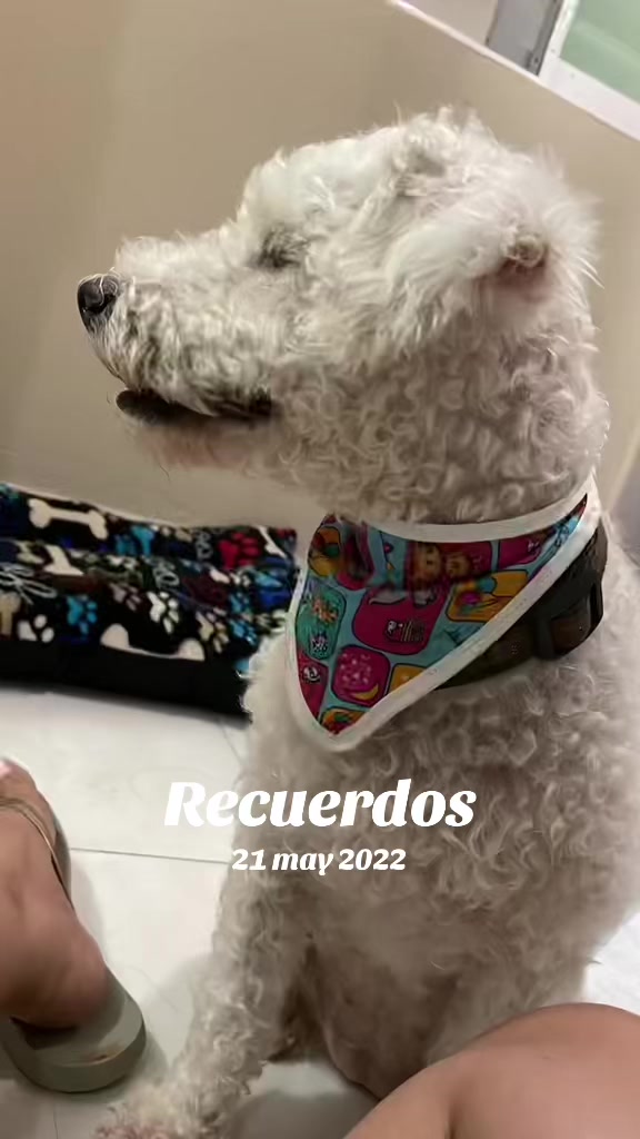 @Elisa Huitrón Rivera