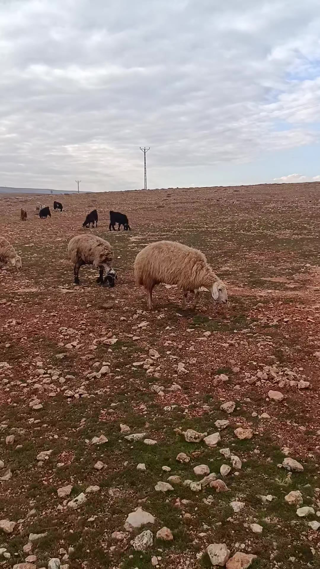 @Erdem akyavuz 2