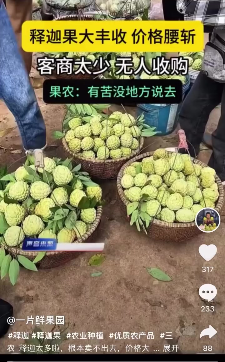 @杰哥(ジエ)―電報群中國疫情討論區群主