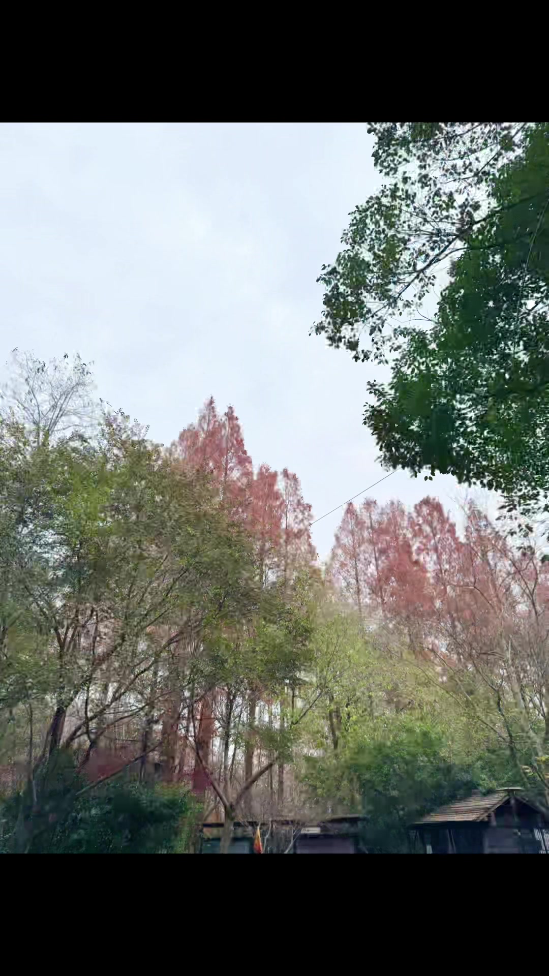 @湯介