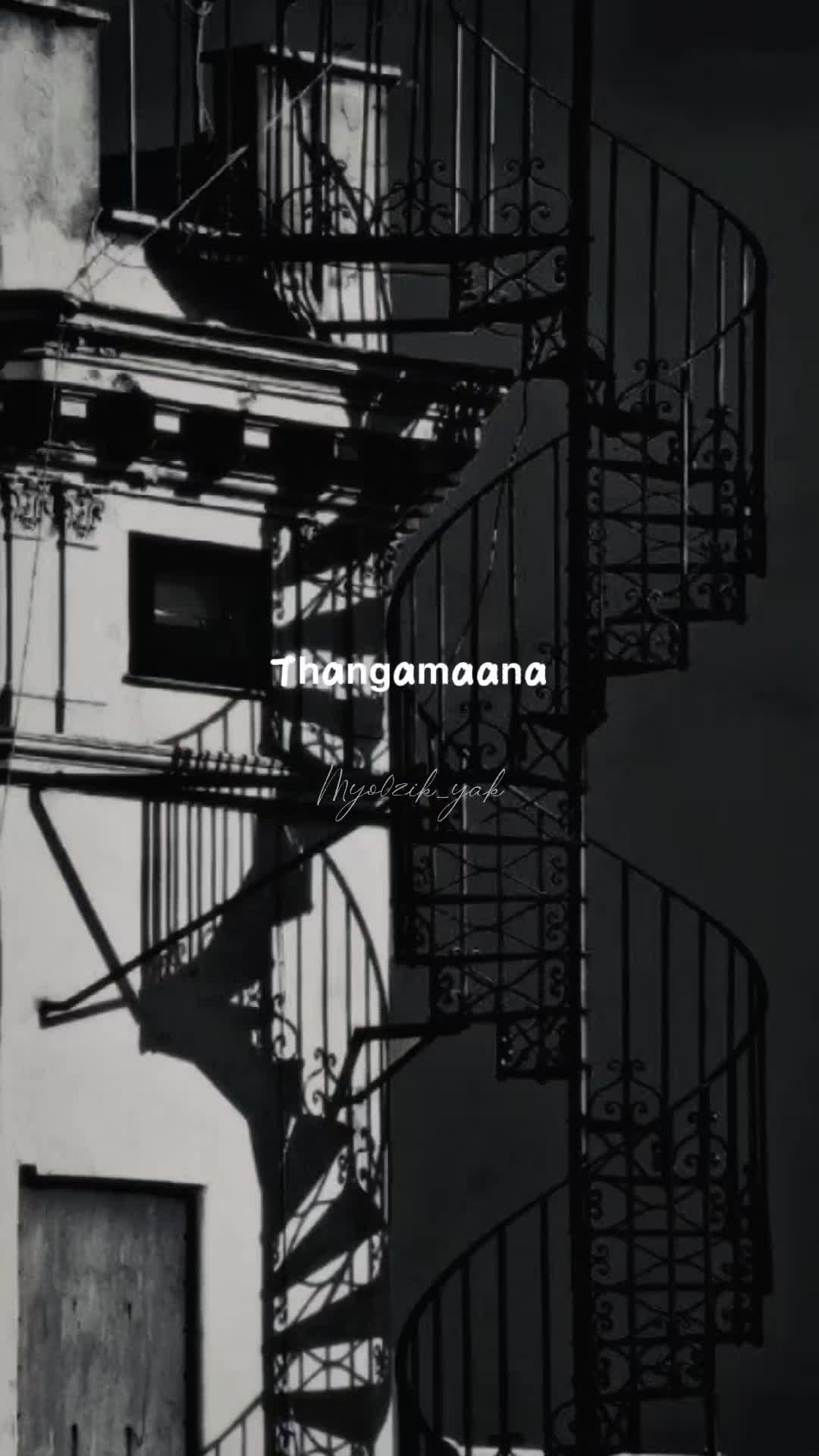 @ꪑꪗꪮ੦ɀỉƙ_ꪗꪖƙ ♪♫♬ 🧬