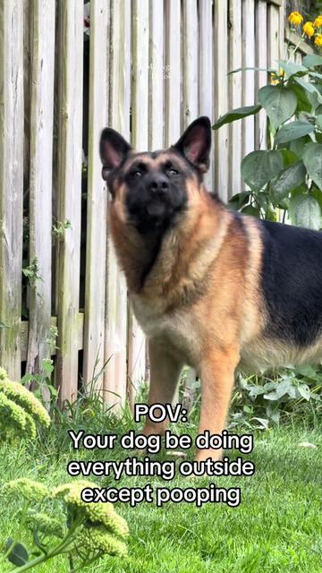 @Martygsd