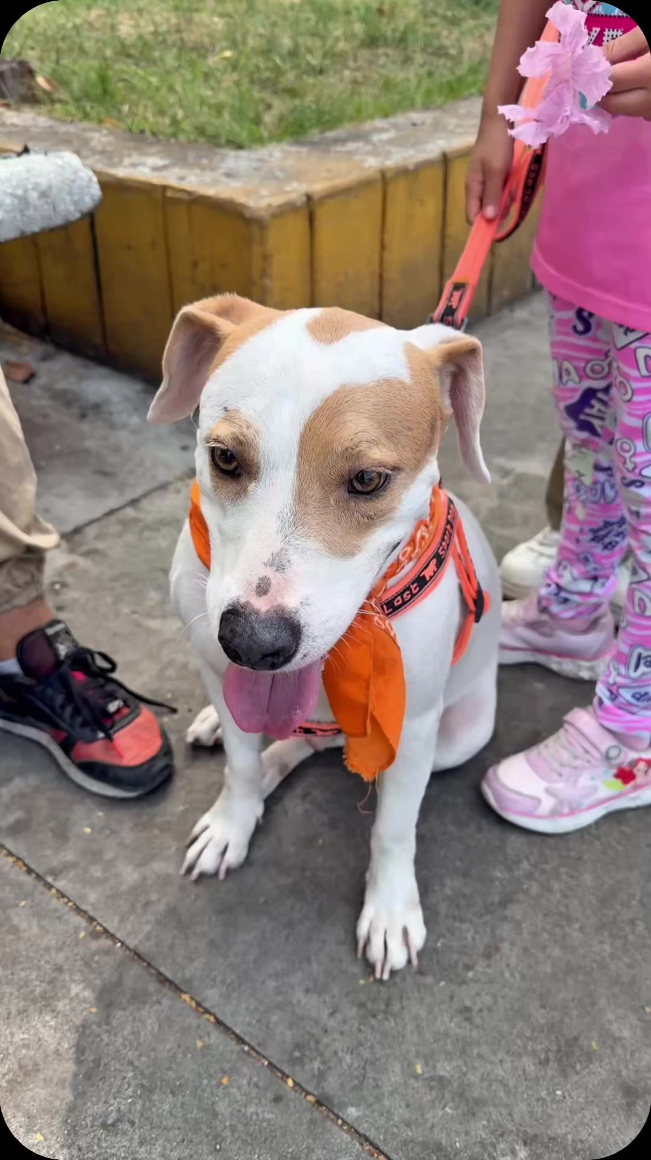 @Conciencia Animal El Cerrito
