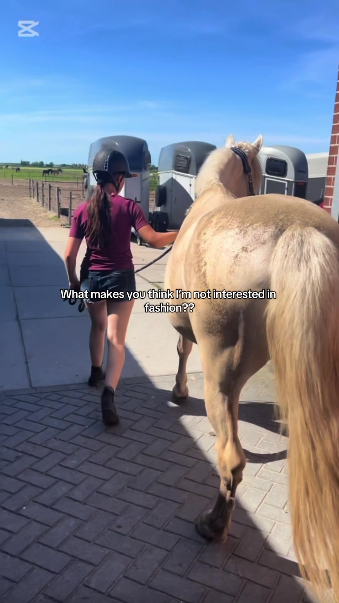 @🇳🇱 yara’s horselife 🇳🇱