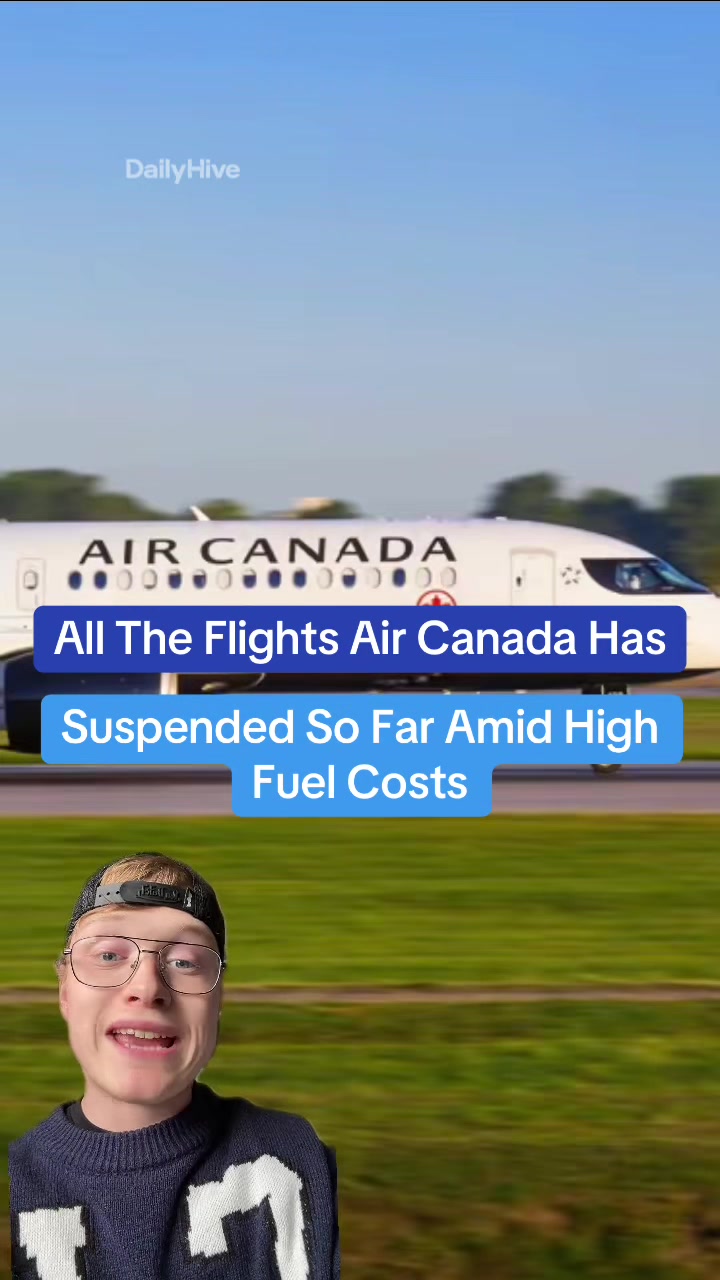 @dailyhivecanada