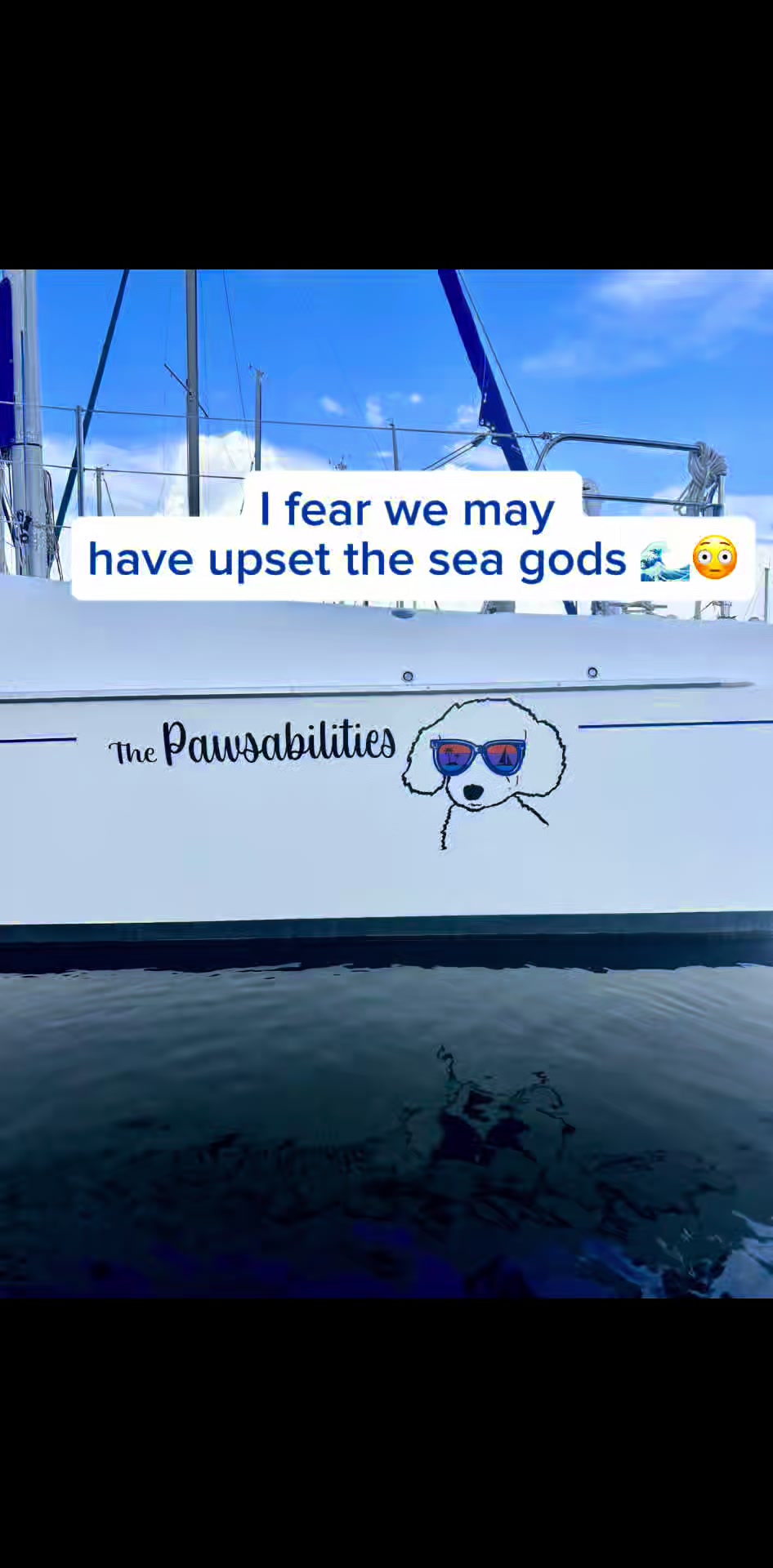 @Sailing the Pawsibilities