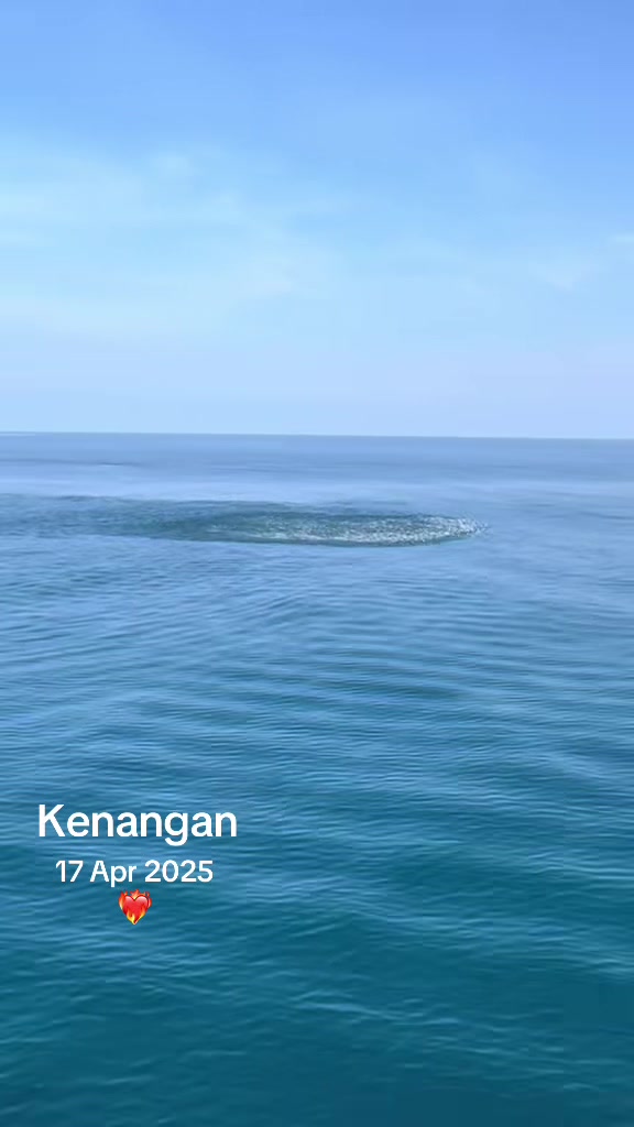 @pelaut gacor 🌊🥷🏻